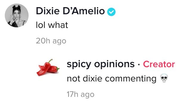 Dixie D'Amelio comments on conspiracy