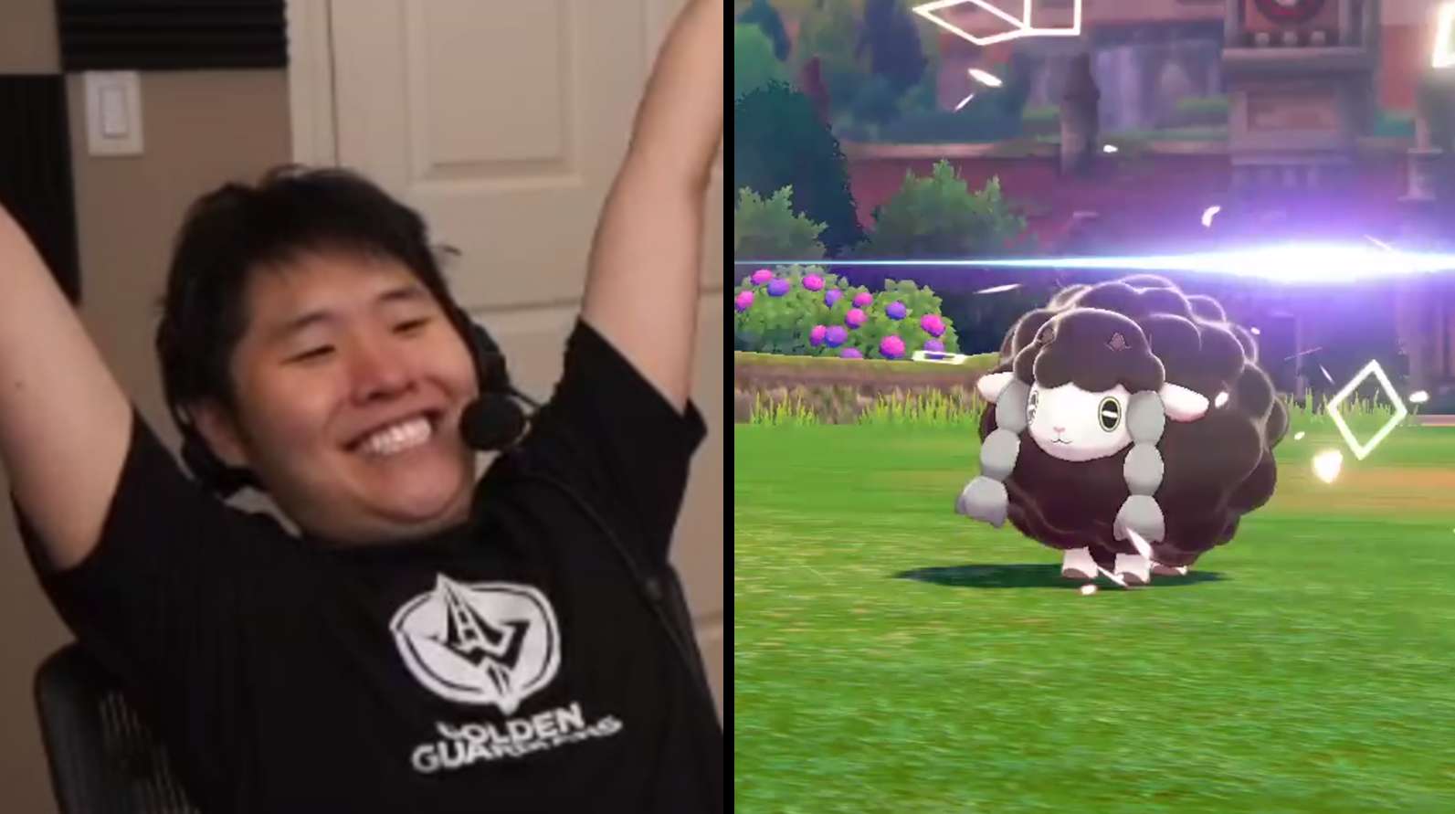 Twitch: DisguisedToast / Pokemon Sword and Shield