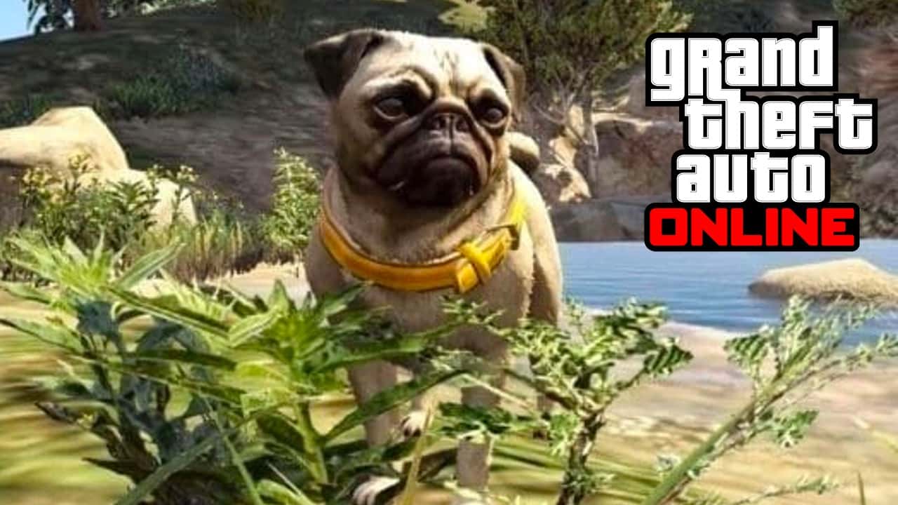 GTA Online Peyote Plant glitch is stealing weapons from players
