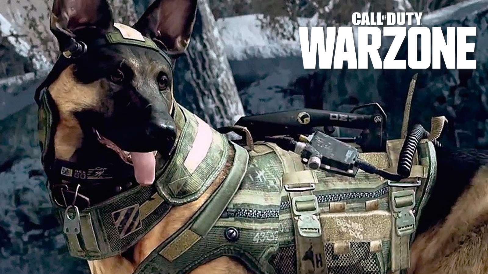 Bizarre Warzone bug turns player’s weapon into a dog