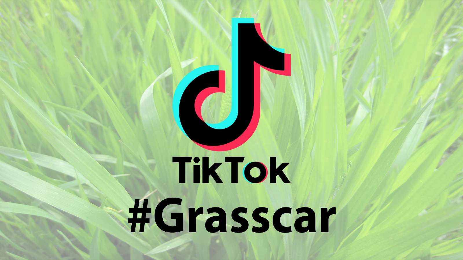 TikTok #Grasscar Challenge