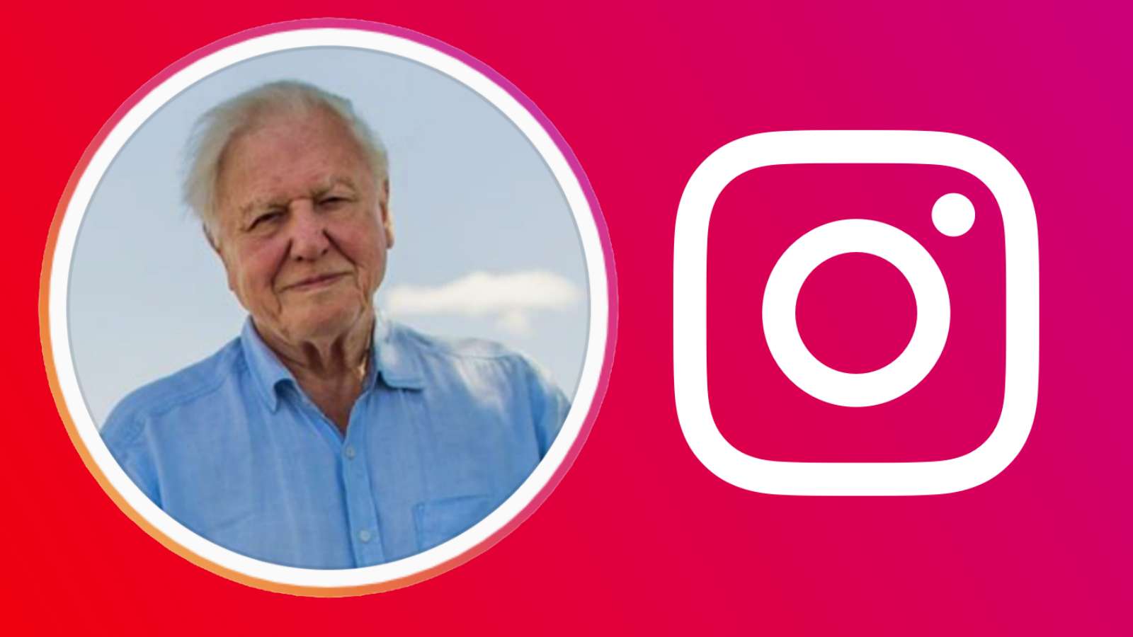 David Attenborough on Instagram