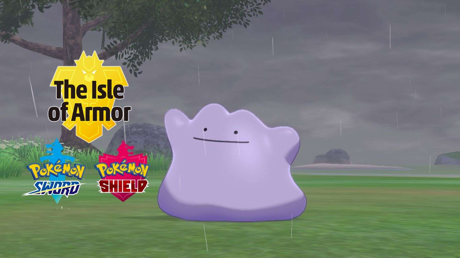How to catch Ditto