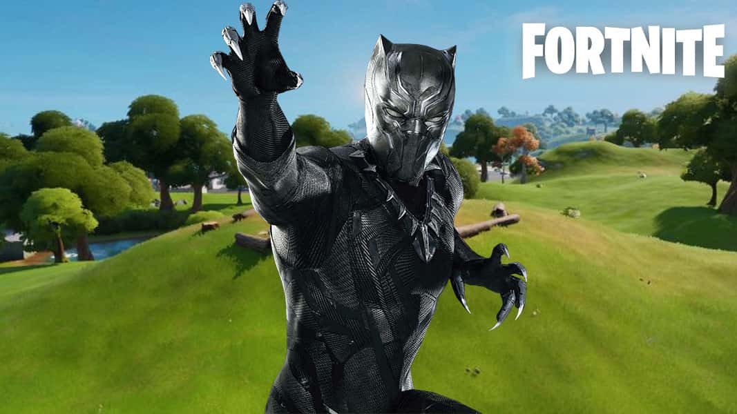 Black Panther and the Fortite logo