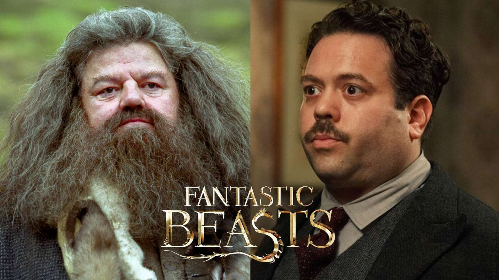 Hagrid and Jacob Kowalski Fantastic Beasts 3