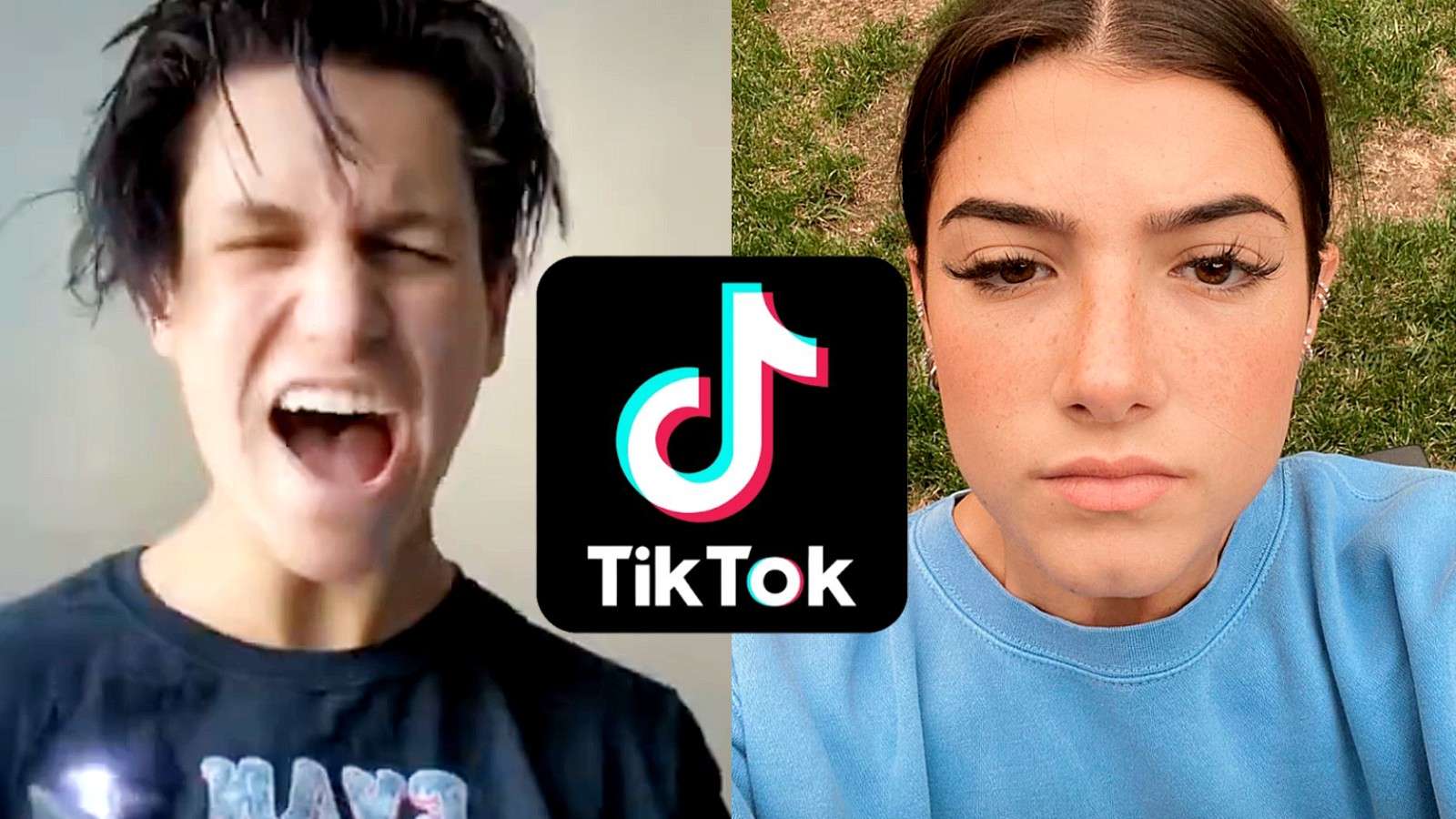 TikTok stars react to US ban, Charli D'Amelio, Chase Hudson