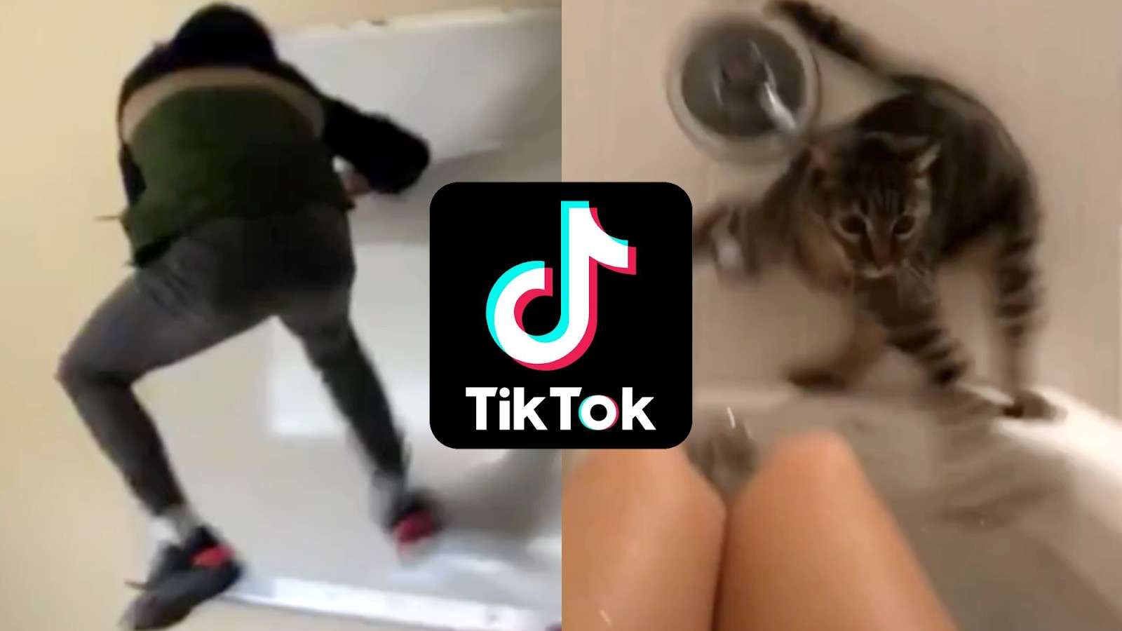 Picture of a man by a whiteboard and a cat nearly falling into a bath, with the TikTok logo in the middle