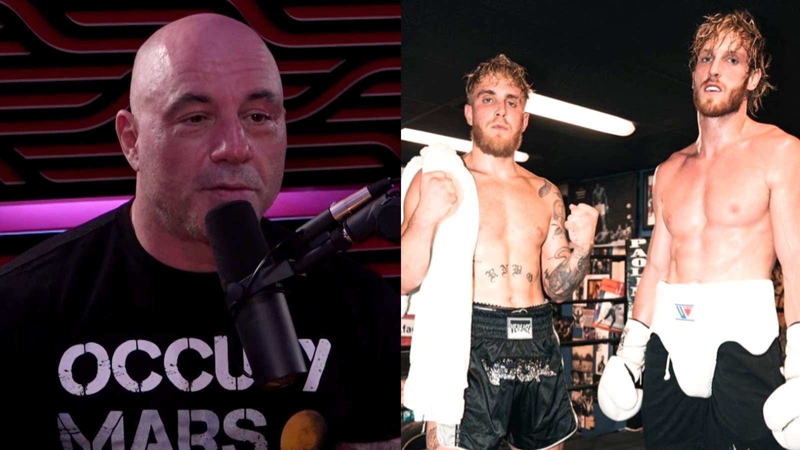 Joe Rogan on his podcast next to image of Paul brothers in training gear