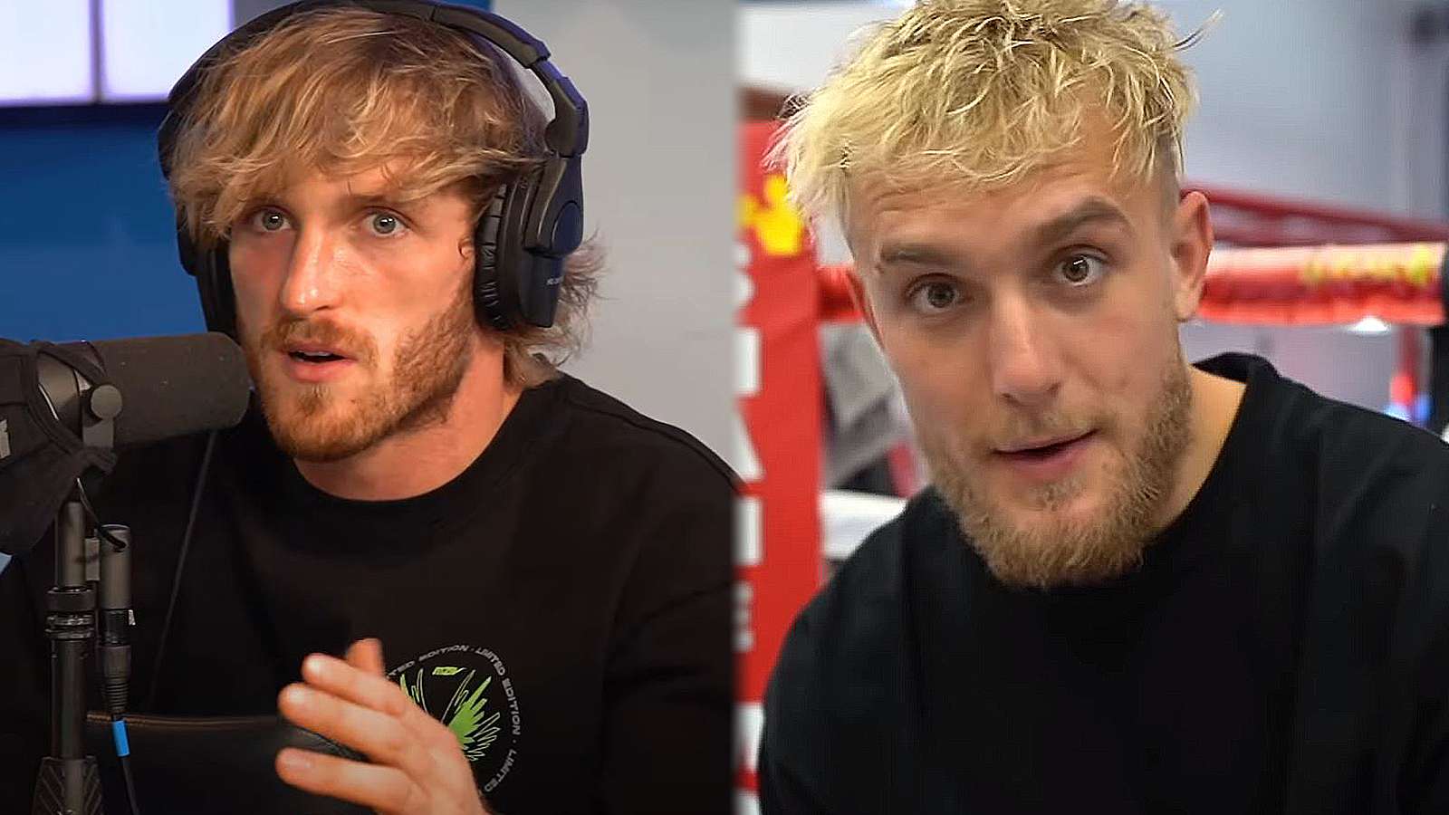 Logan Paul responds to Jake Paul fake fighter comments
