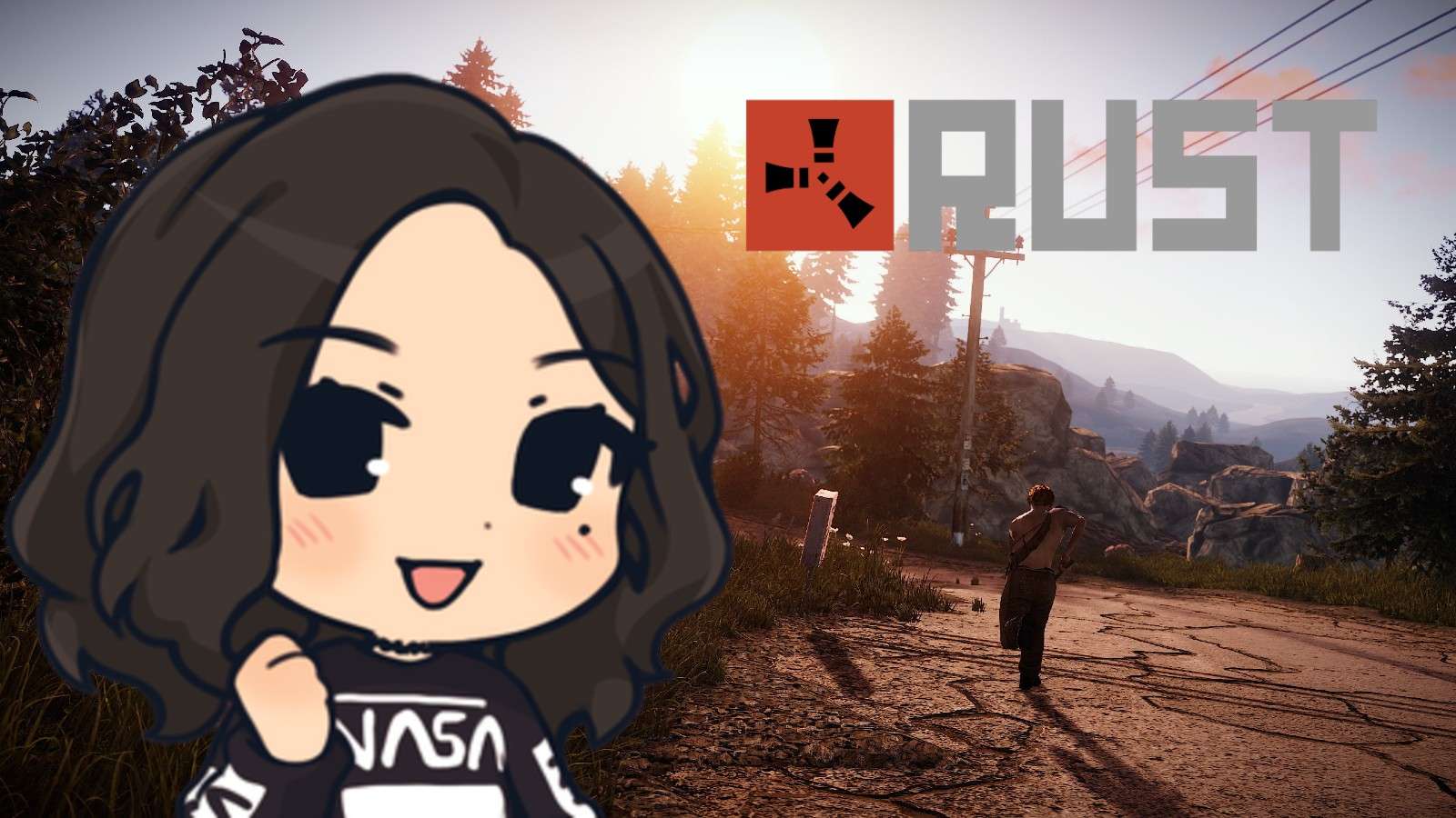 Huge Rust Twitch donation