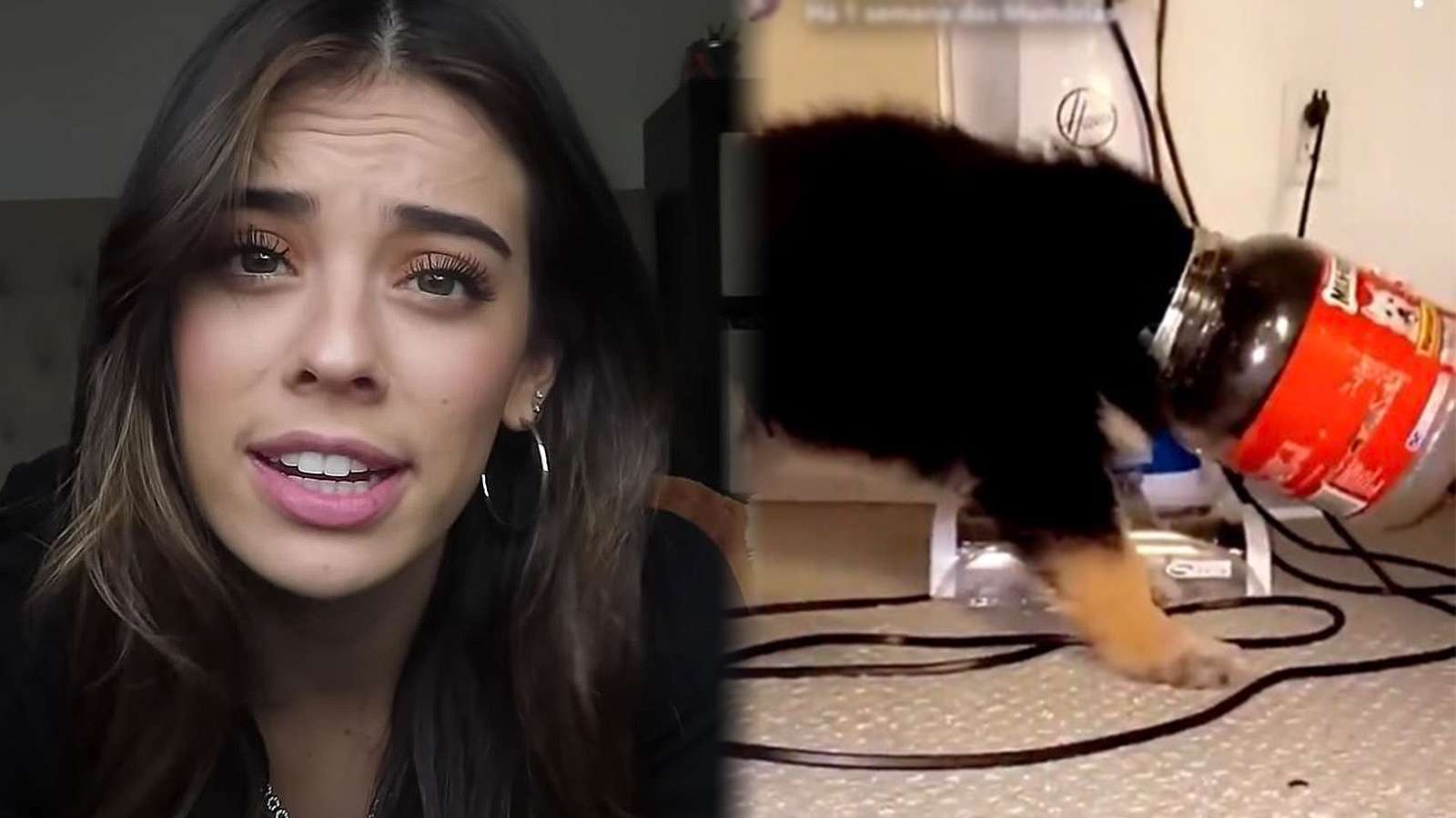 Lauren Kettering apologizes for dog video