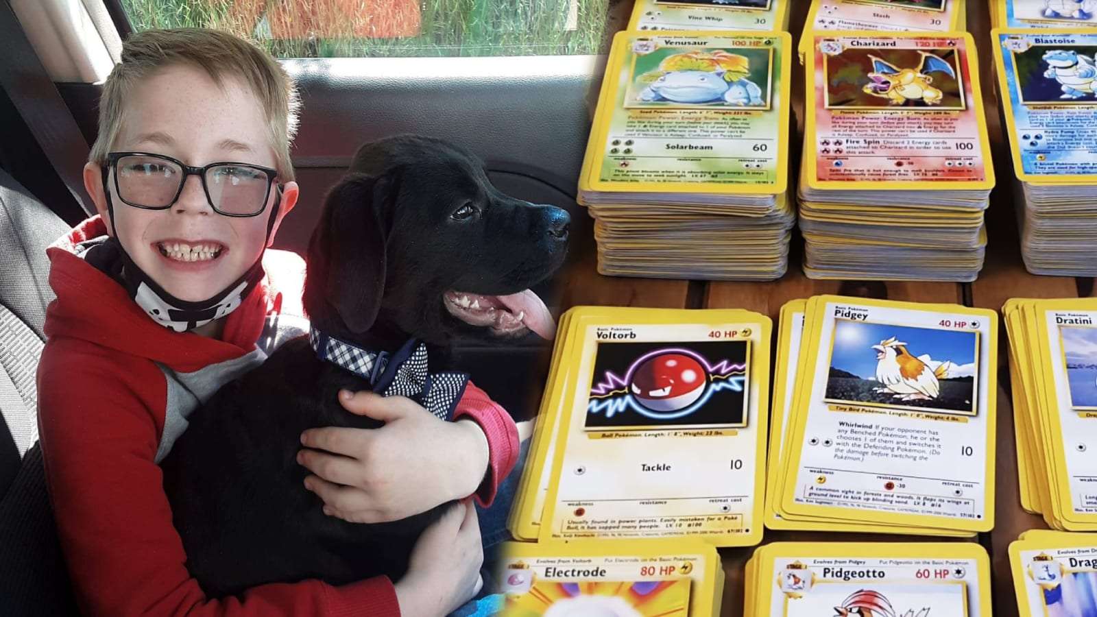Pokemon fan Bryson Kliemann with his dog next to Pokemon card collection