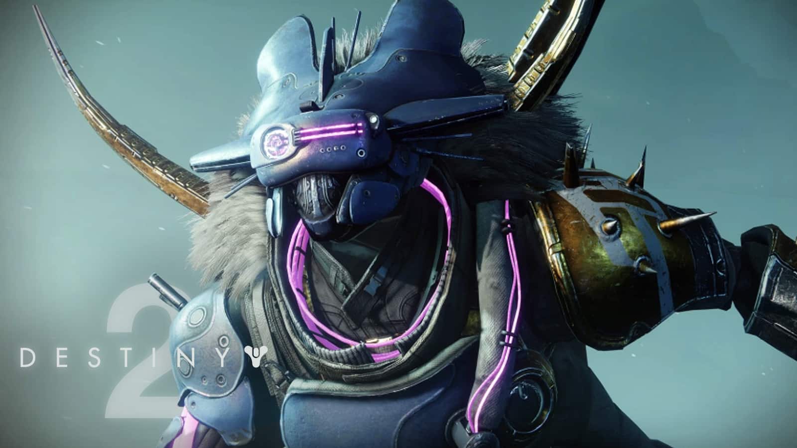 Bungie accidentally Destiny 2 crossplay enabled.