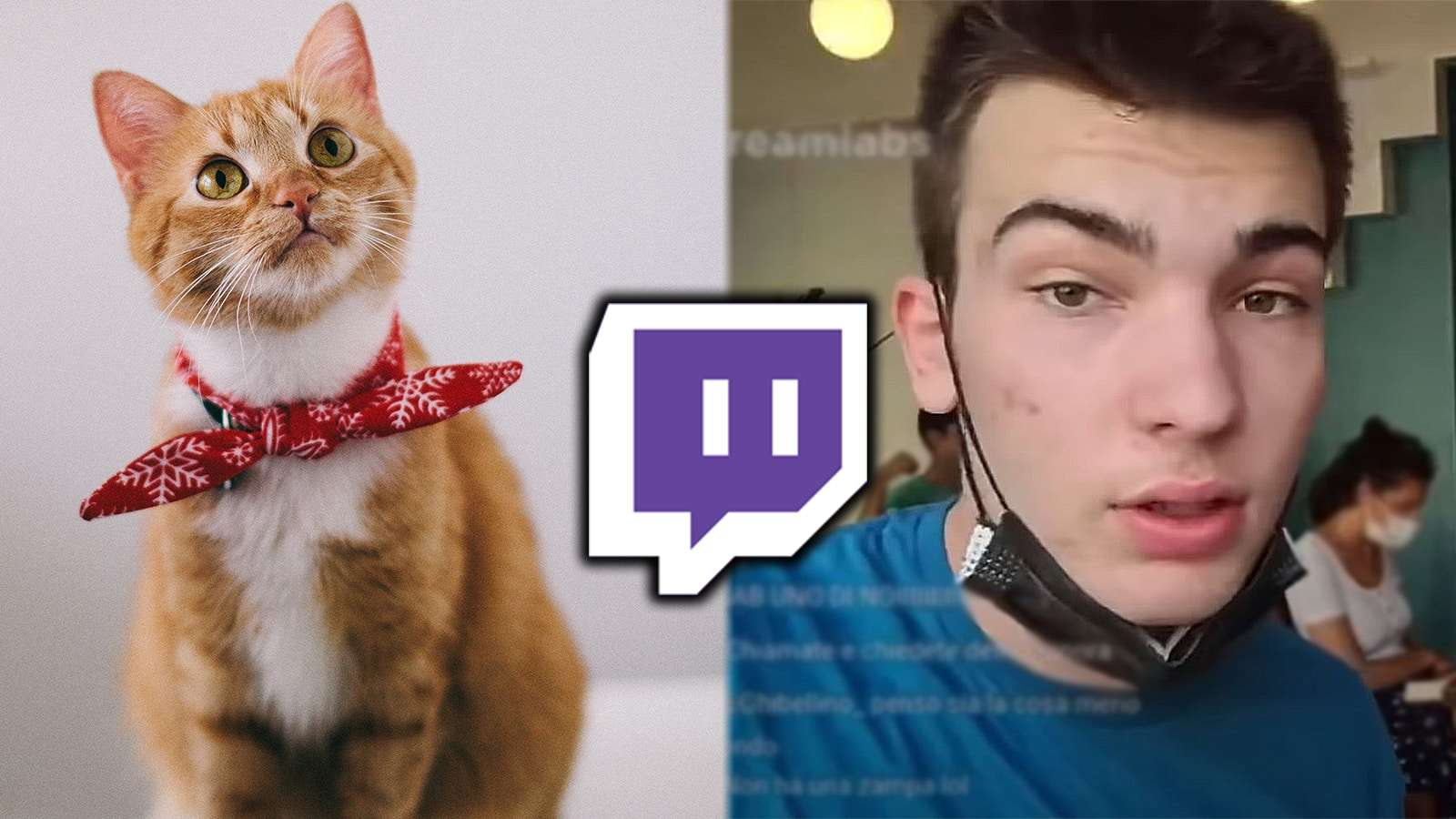 Twitch streamer banned cat cafe