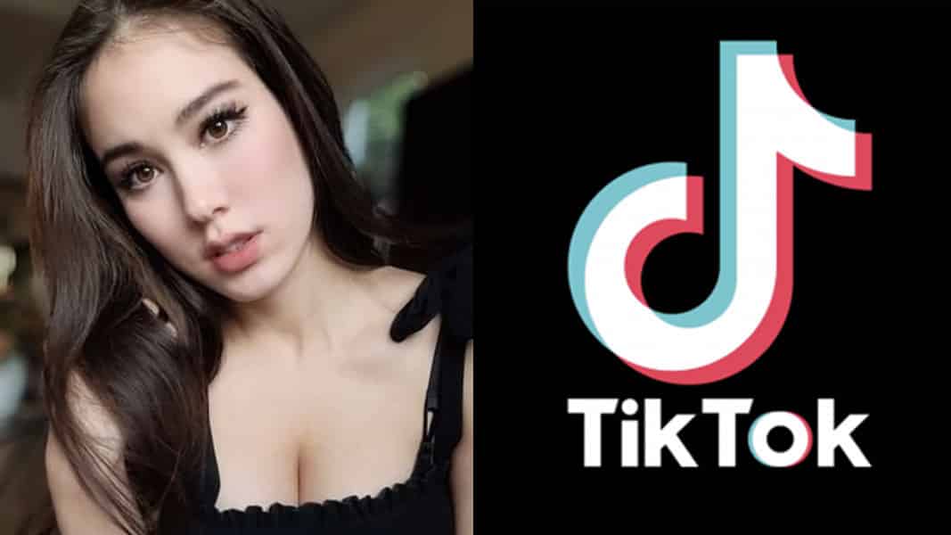 Indiefoxx and TikTok logo