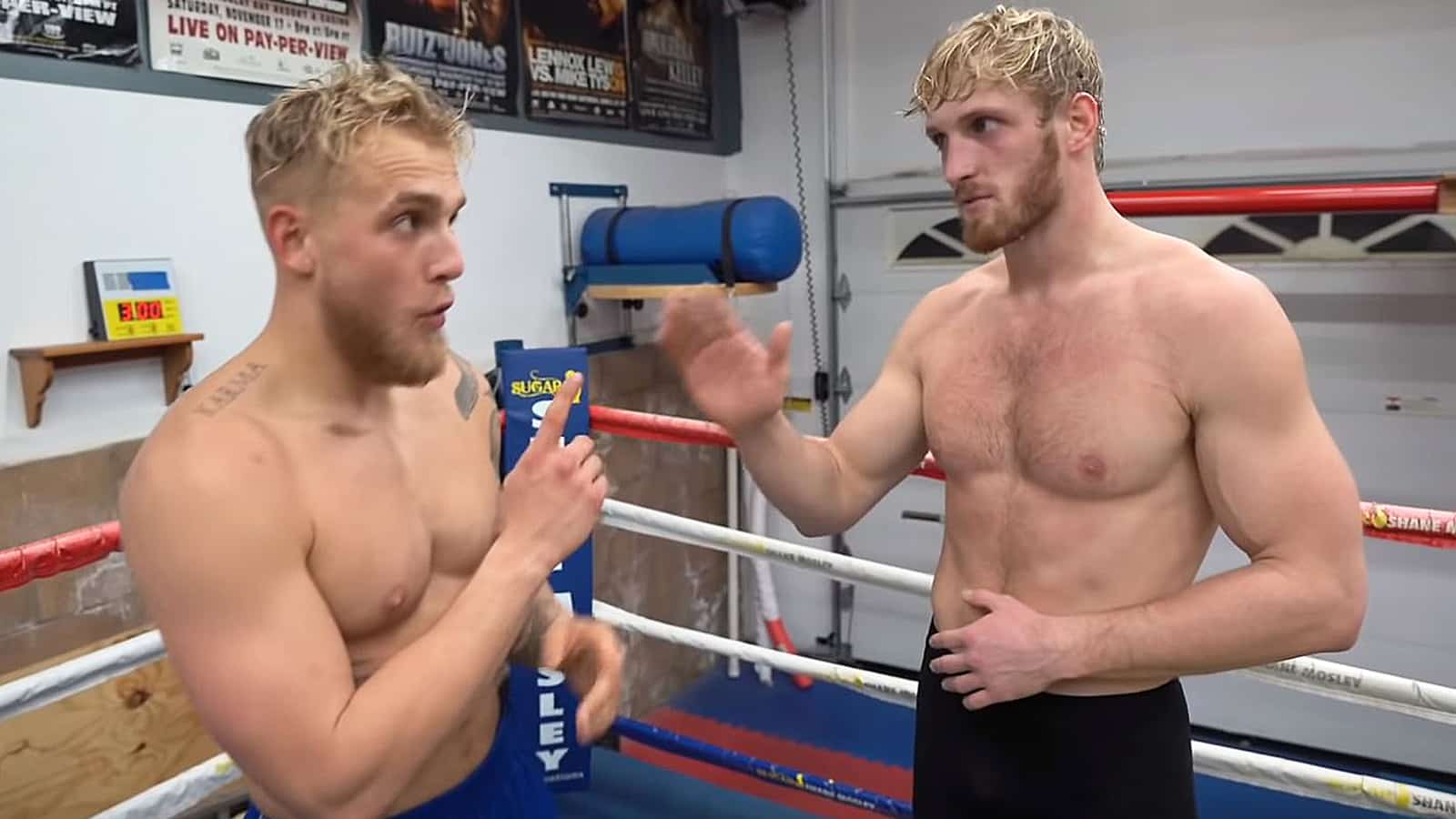 Jake Logan Paul boxing match Instagram DMS