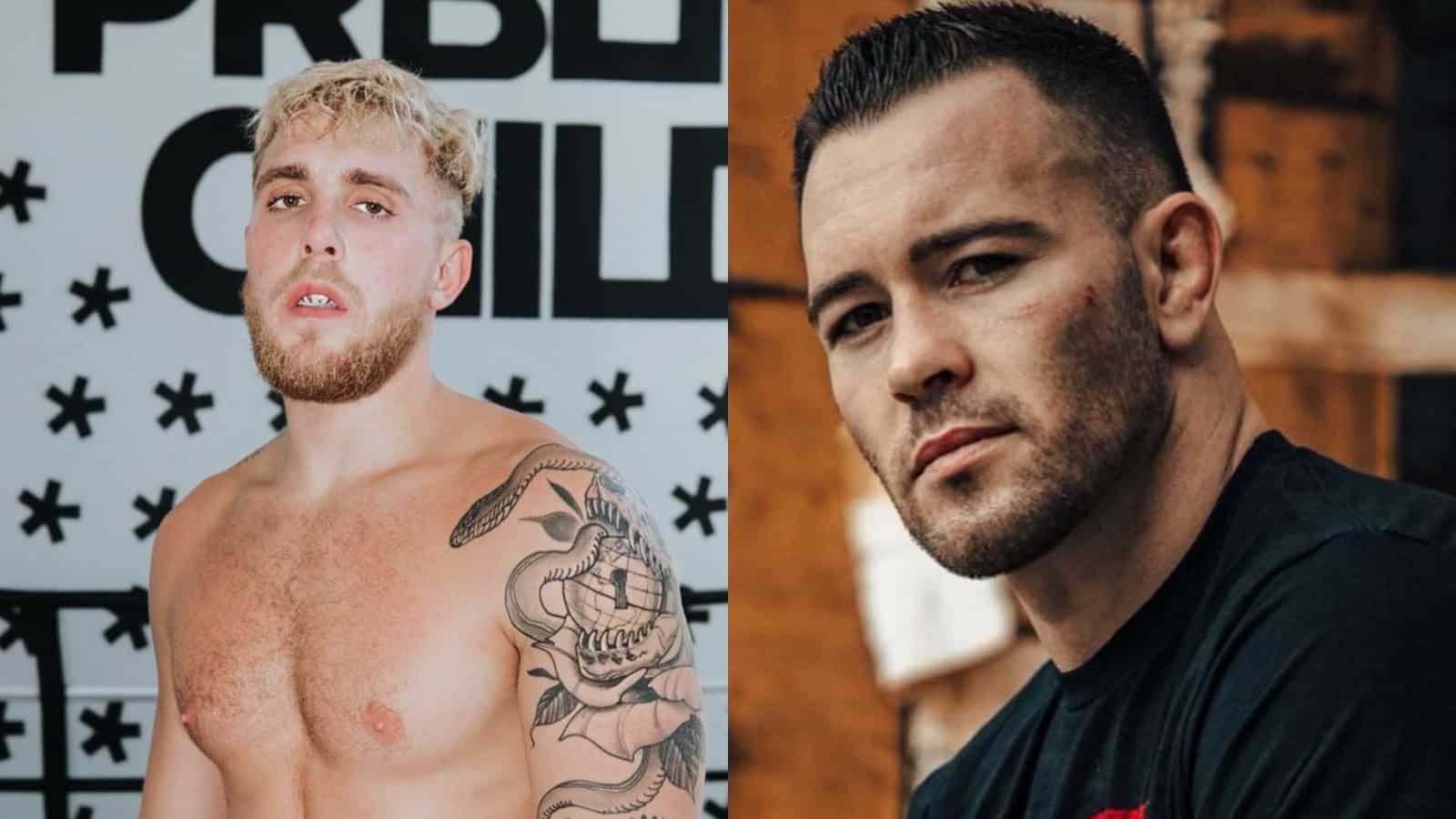 Colby Covington calls out Jake Paul over training