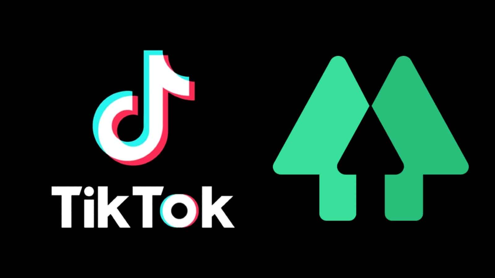 TikTok logo next to the Linktree logo