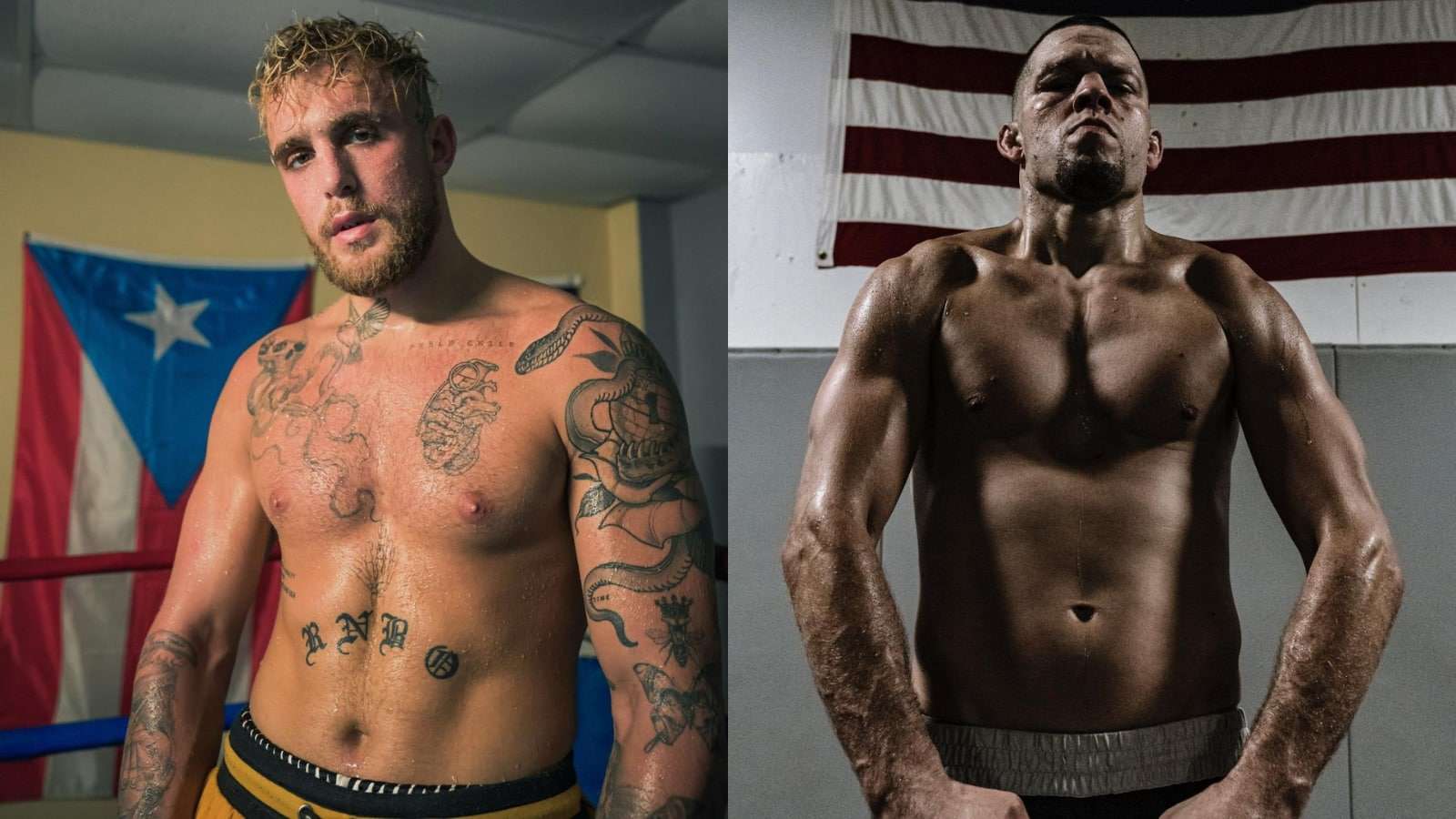 Jake Paul wants to fight Nate Diaz