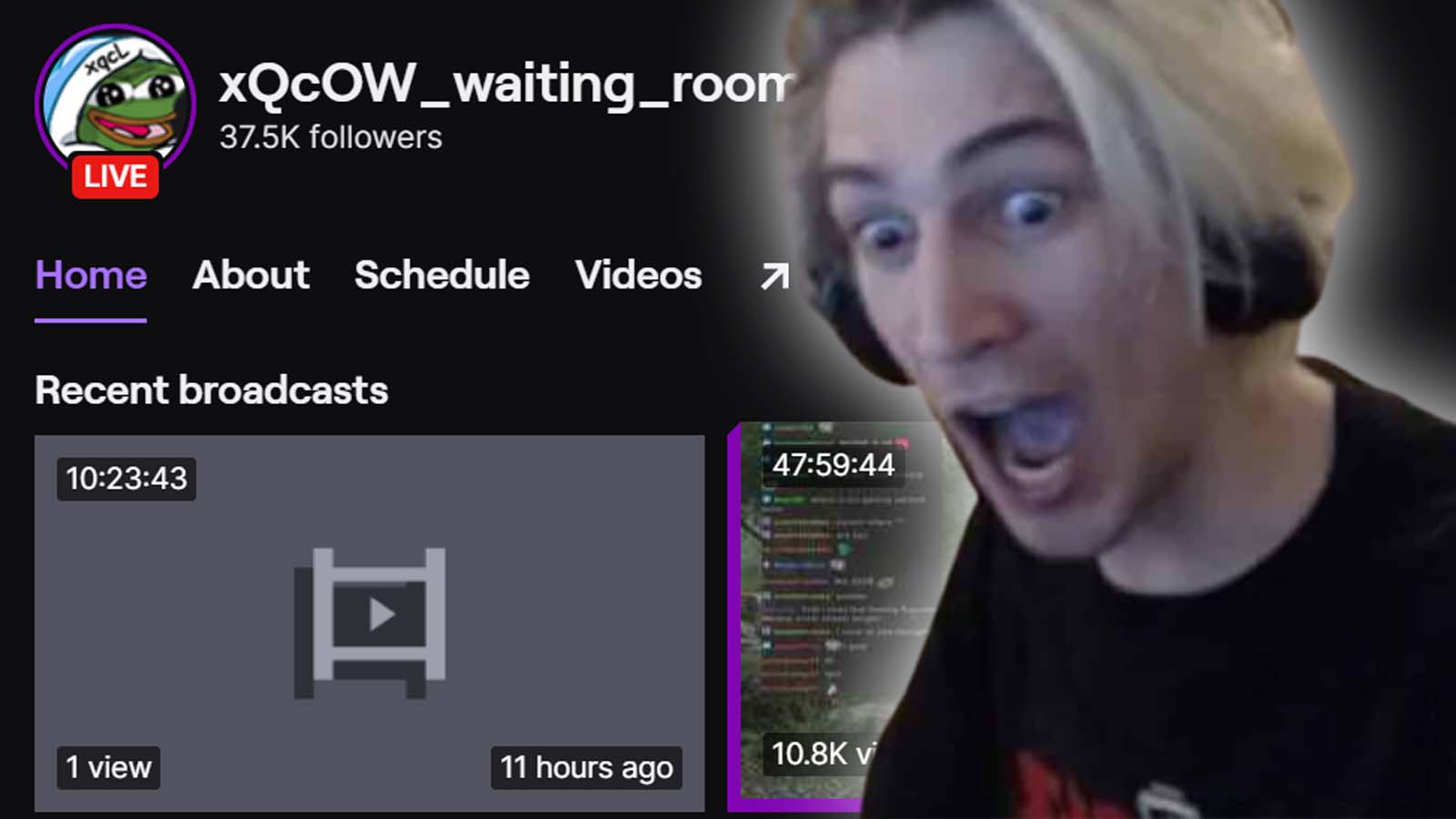 xqcow waiting room