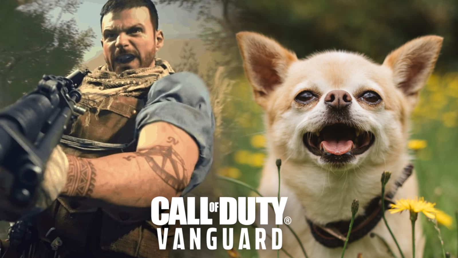 call of duty vanguard mvp screen dog