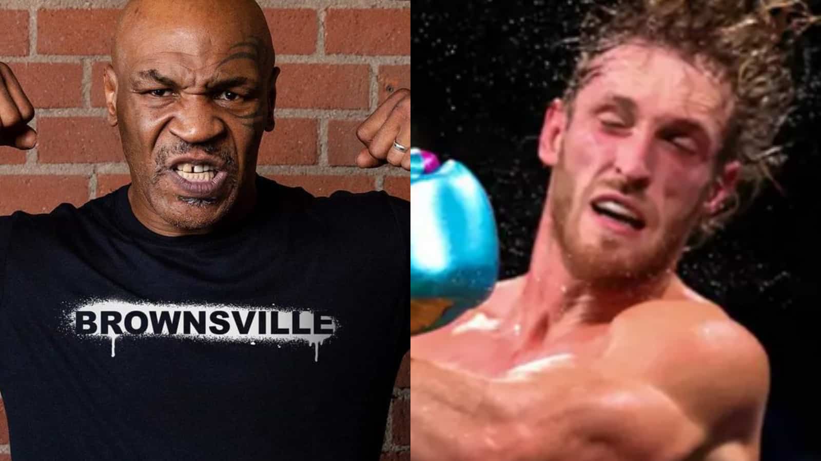 Mike Tyson vs Logan Paul killed