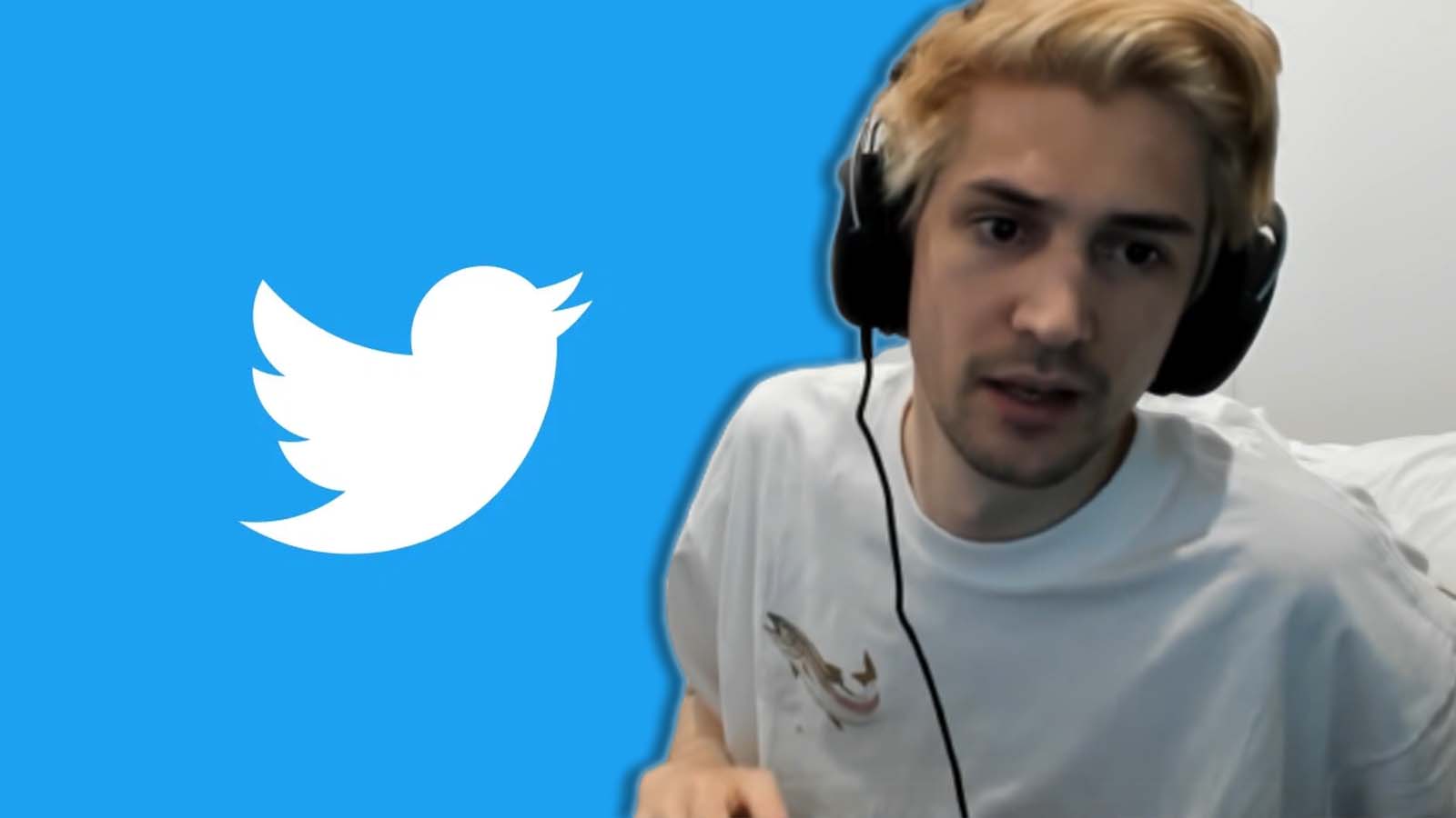 xqc-twitter-users-hate-streamers-more-harm