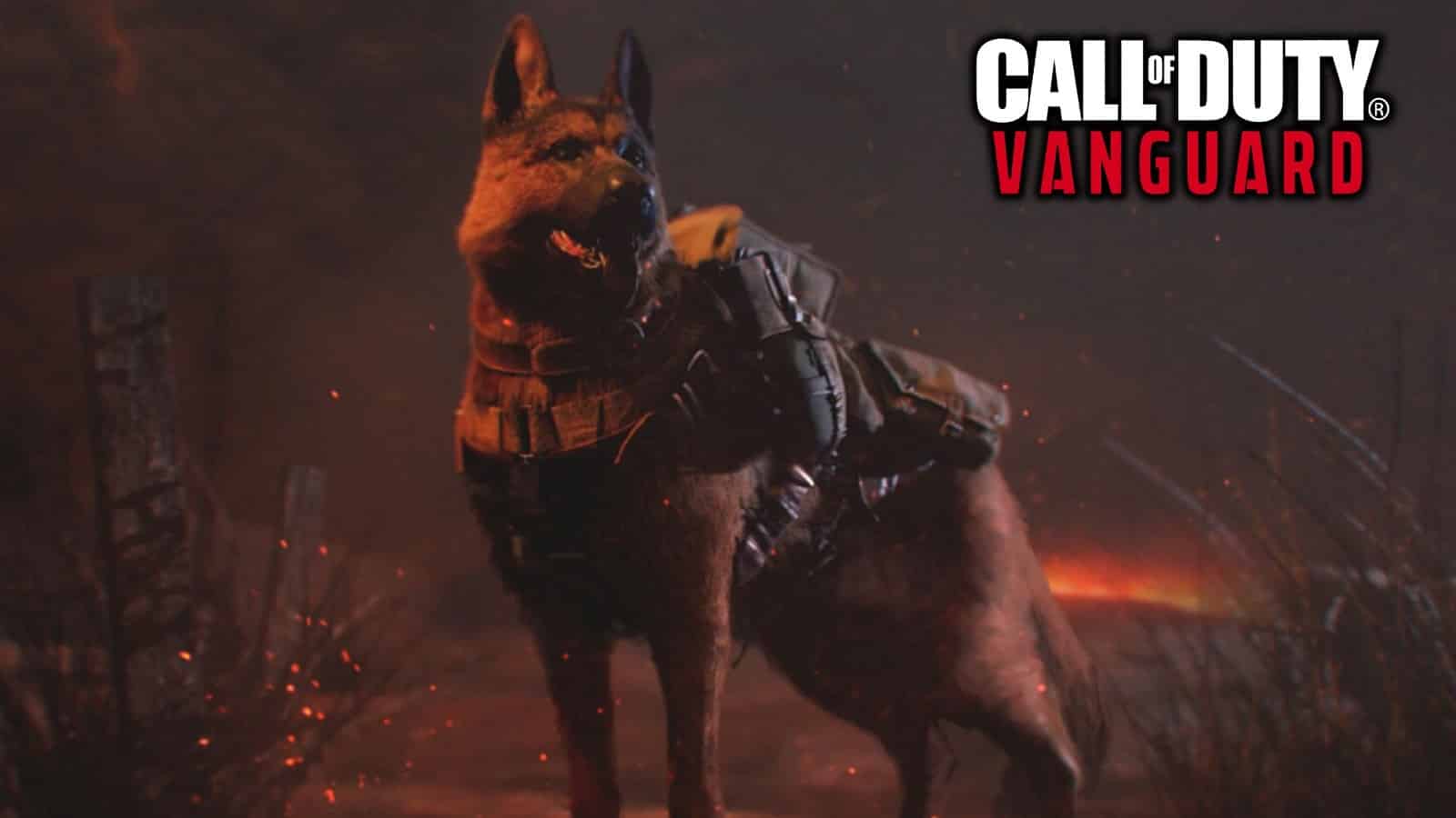 CoD Vanguard Guard Dog killstreak