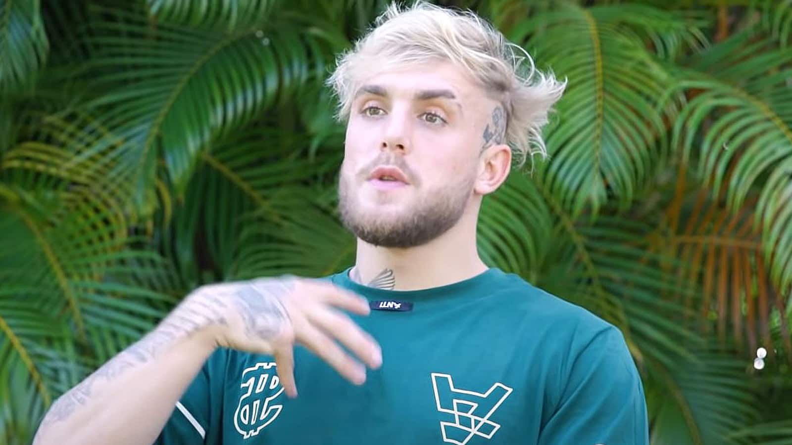 Jake Paul hits back at accusations of rigging boxing matches