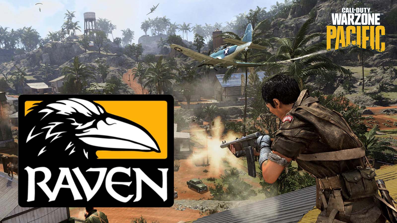 Warzone hackers mock Raven