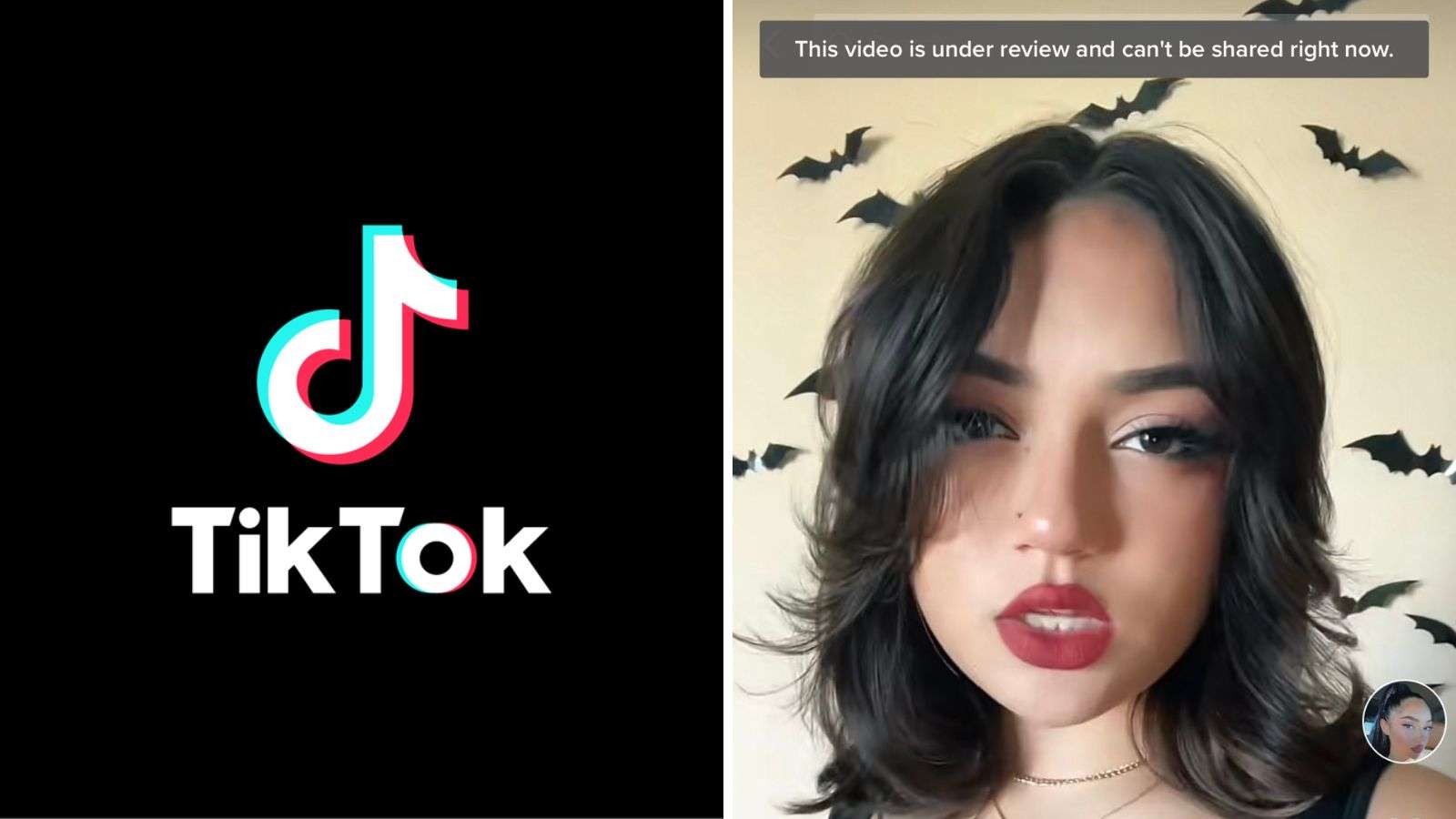 TikTok logo next to screenshot