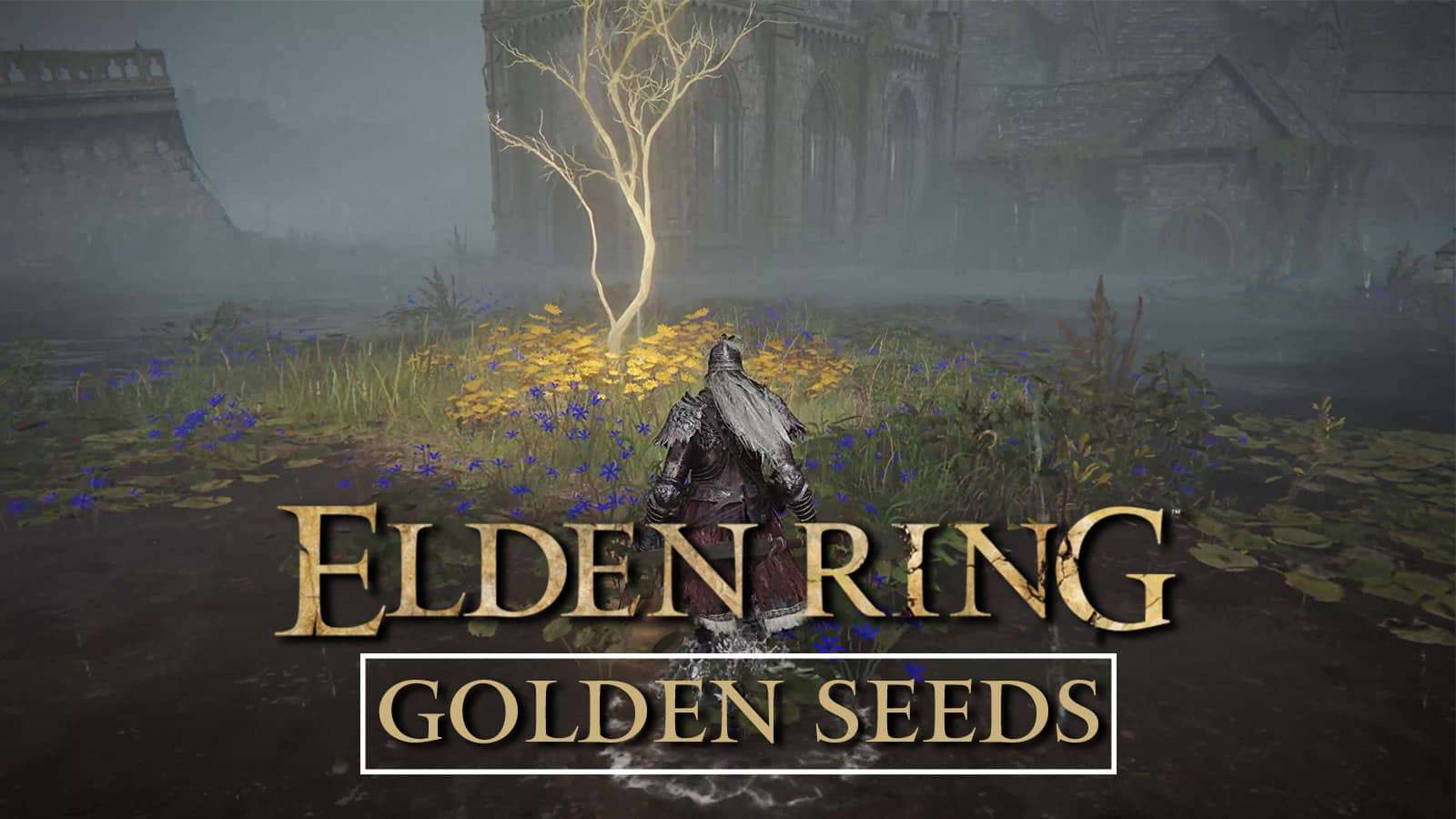 elden-ring-golden-seeds