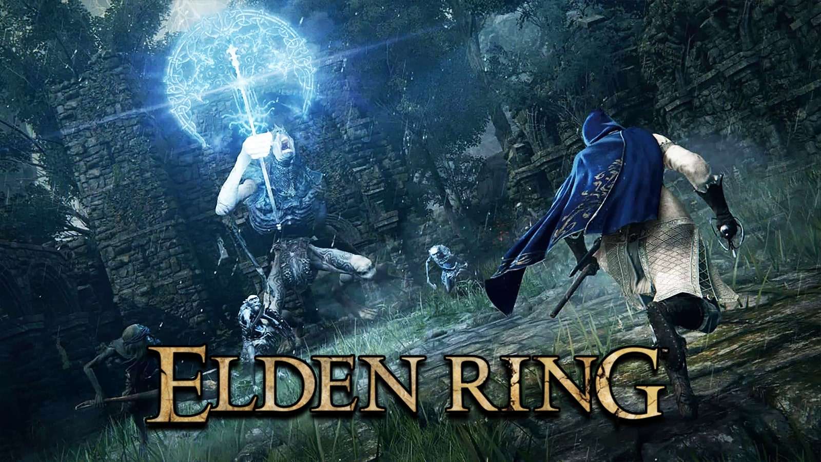 Elden Ring summons boss fight encounter screenshot.