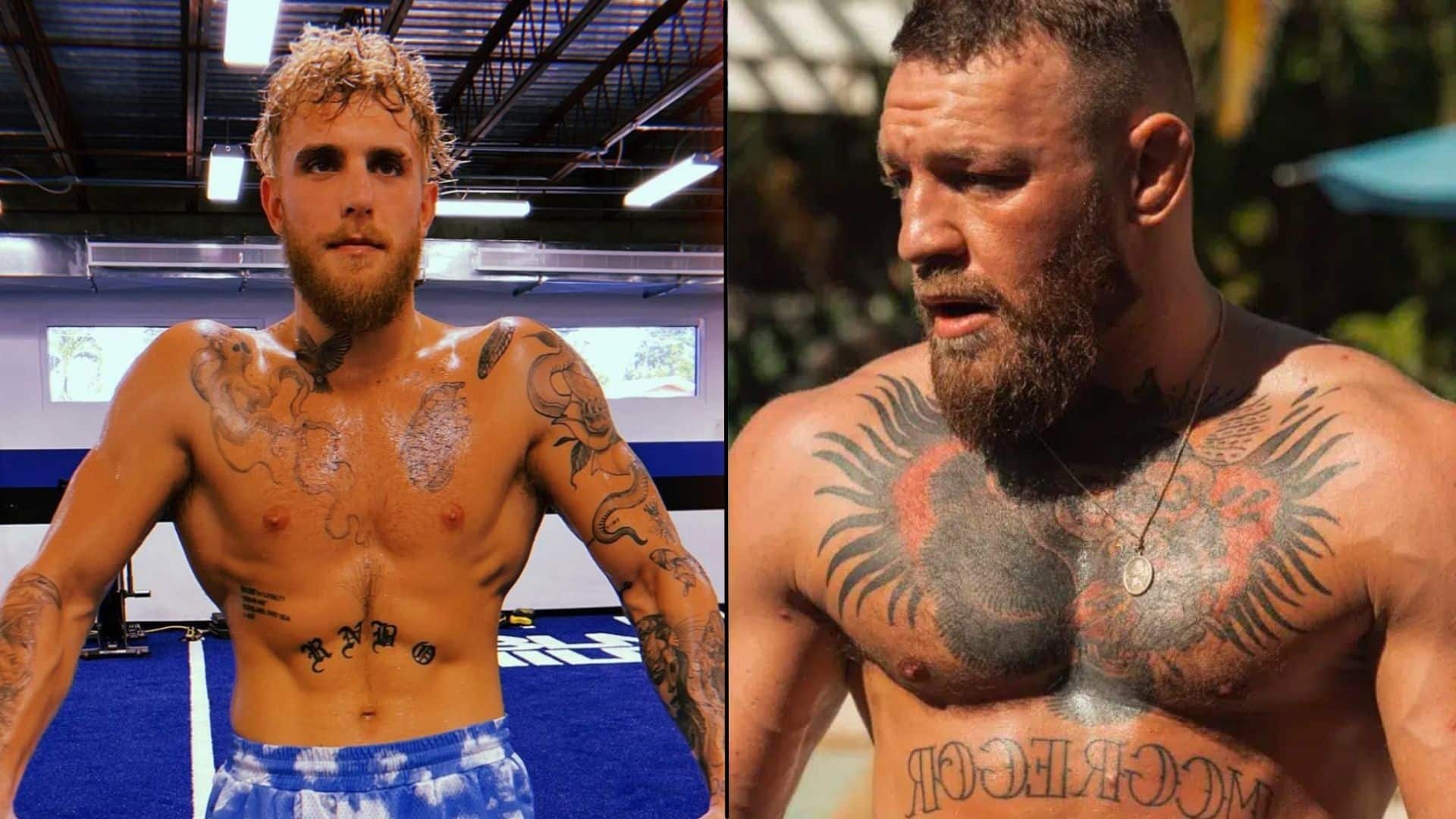 Jake Paul and Conor McGregor side-by-side working out