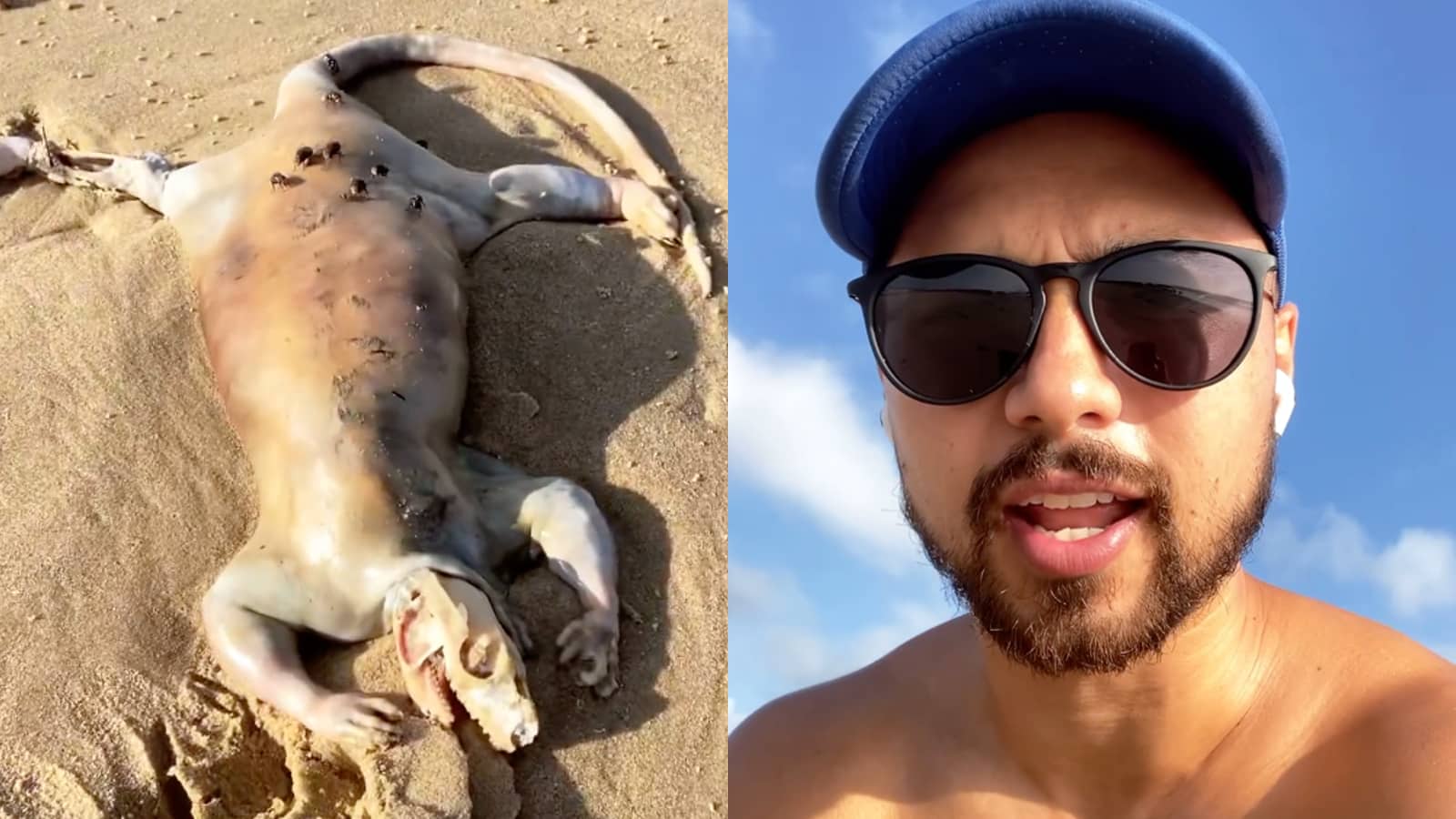 Instagram user Alex Tan next to Australian beach creature