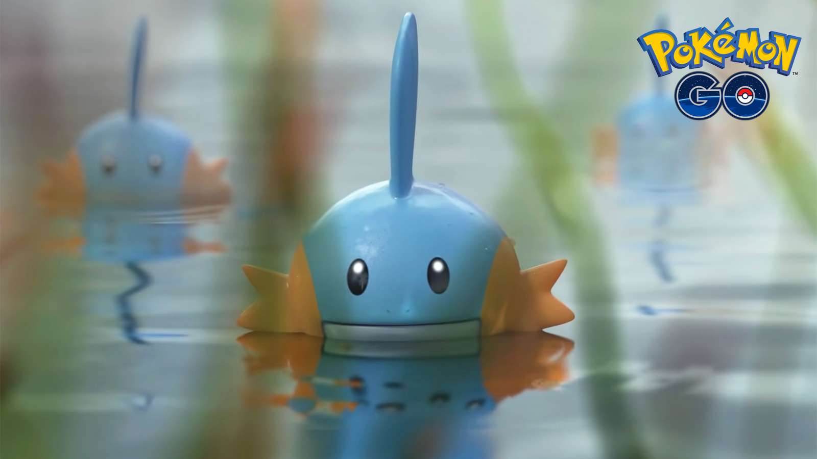 Mudkip appearing in the Pokemon GO Community Day Classic Special Research quest