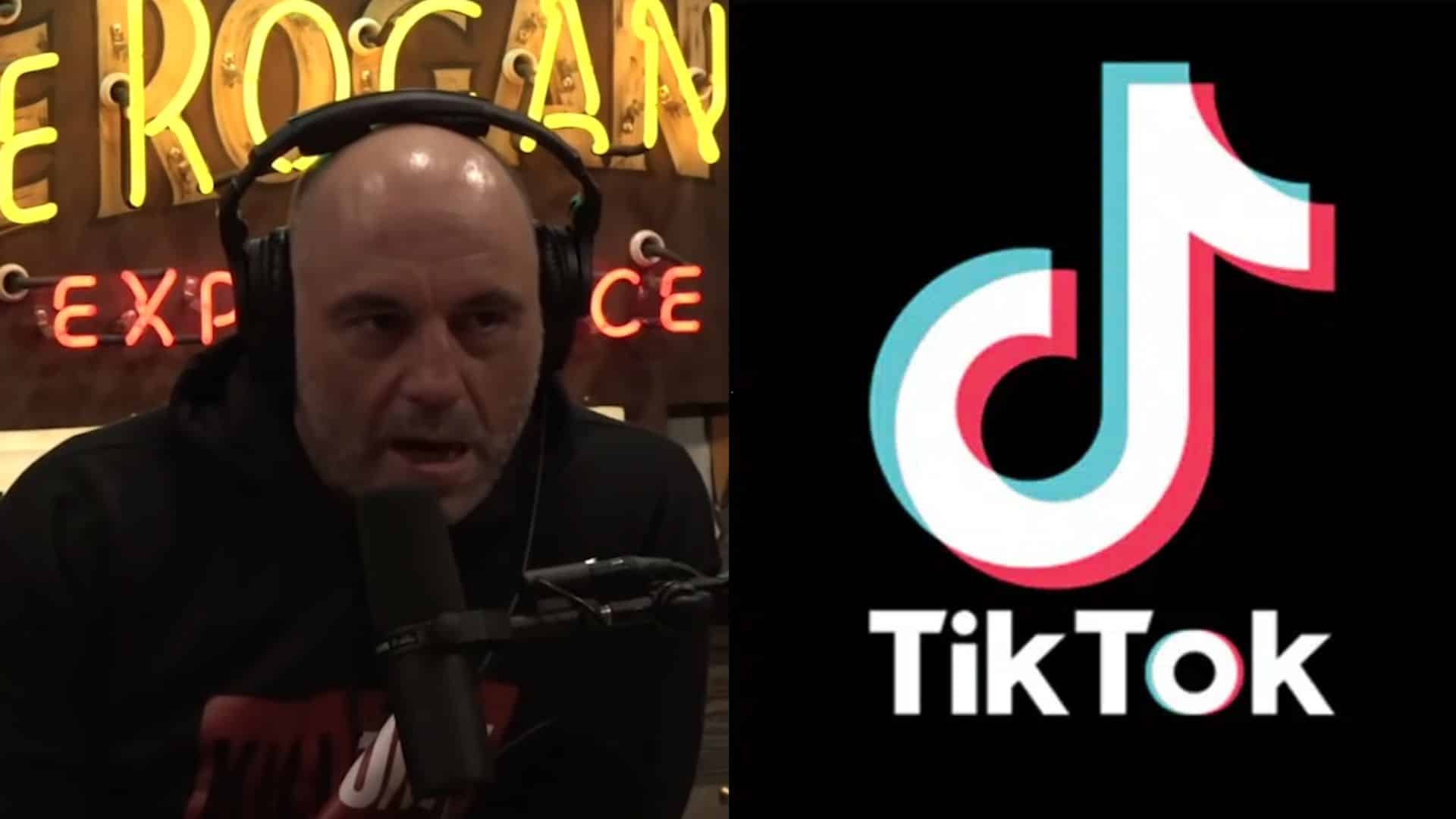 Joe Rogan alongside TikTok logo talking on podcast