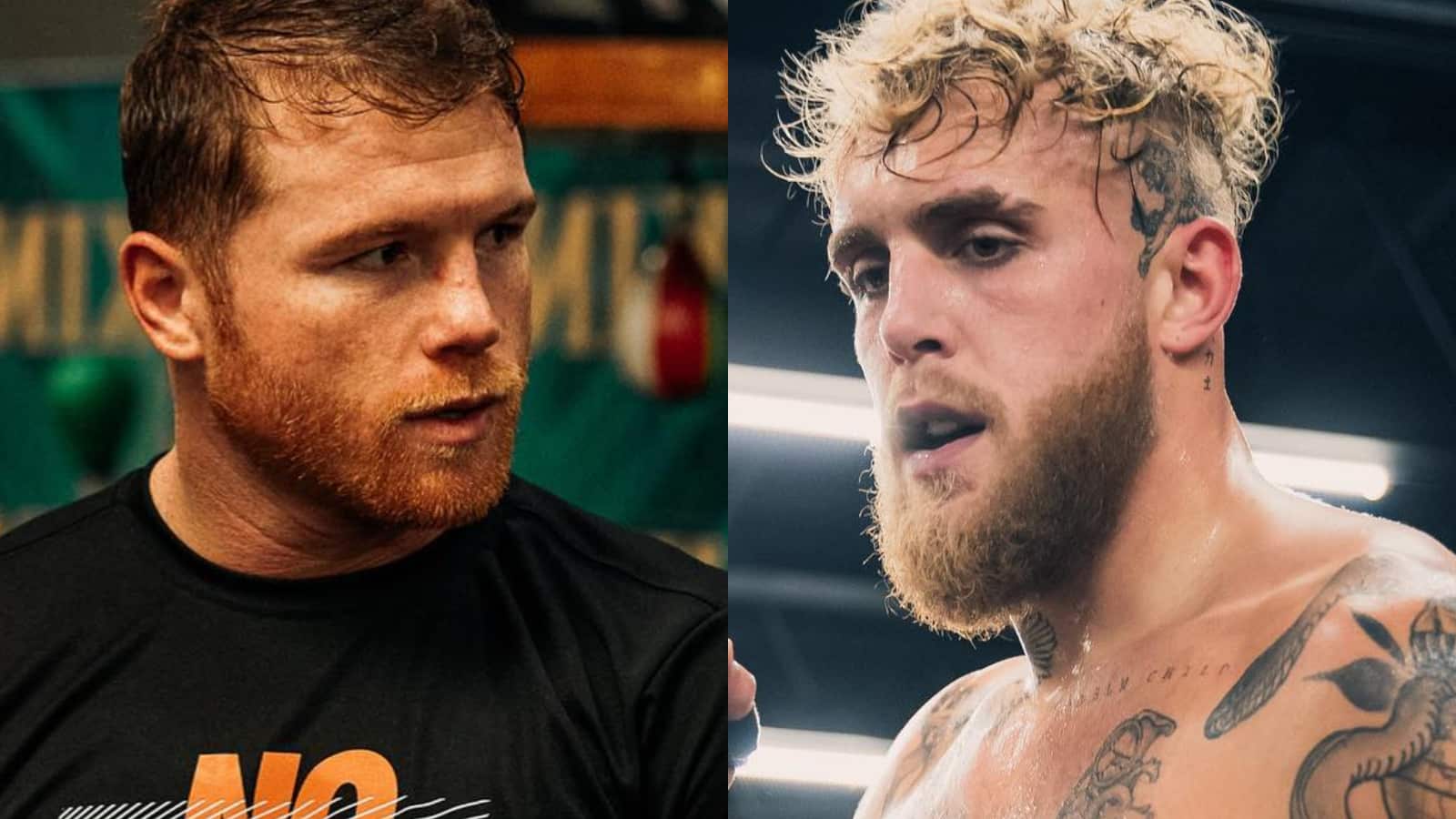 canelo open to fighting jake paul in boxing