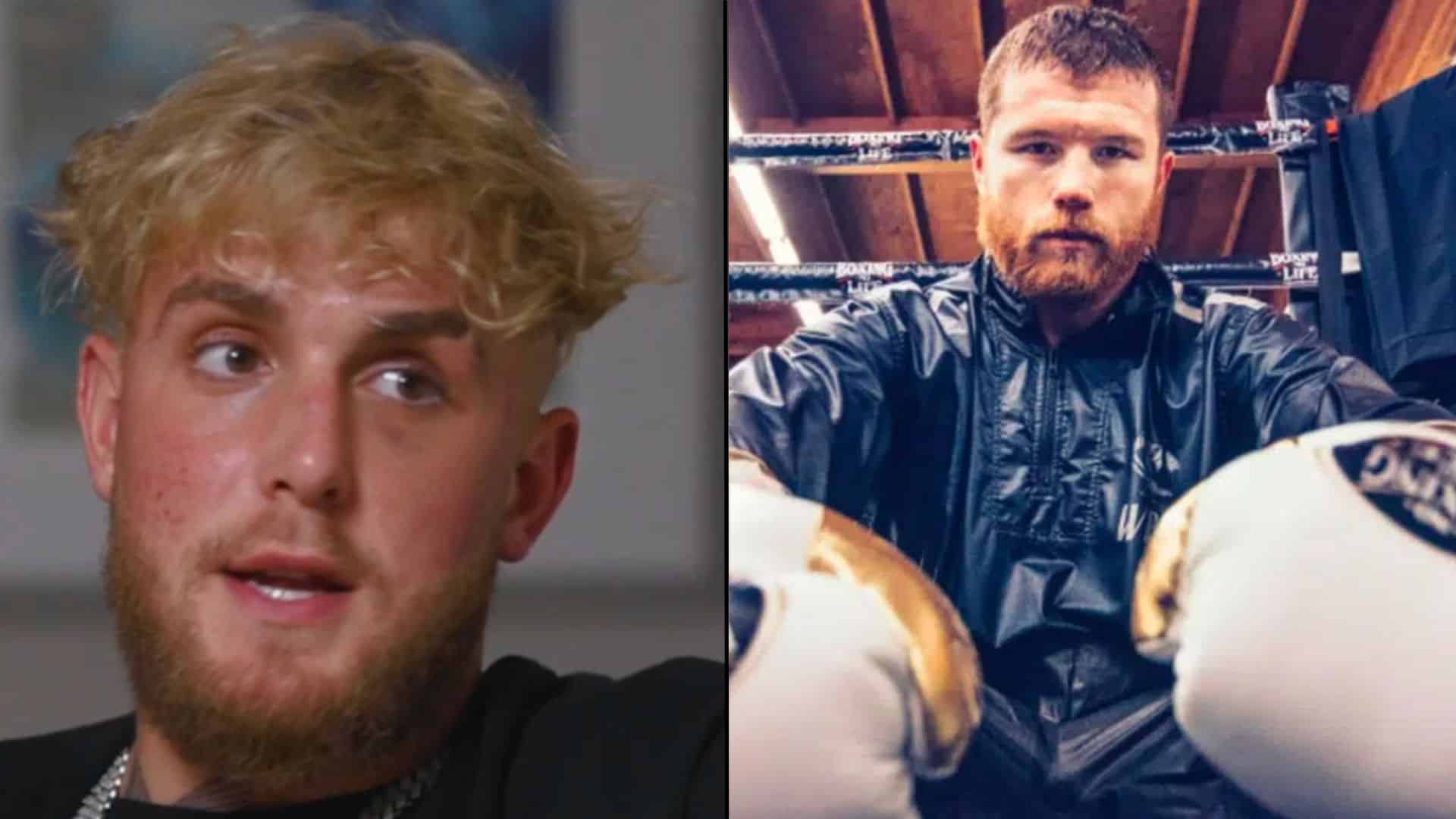 Jake Paul side by side with Canelo in interview