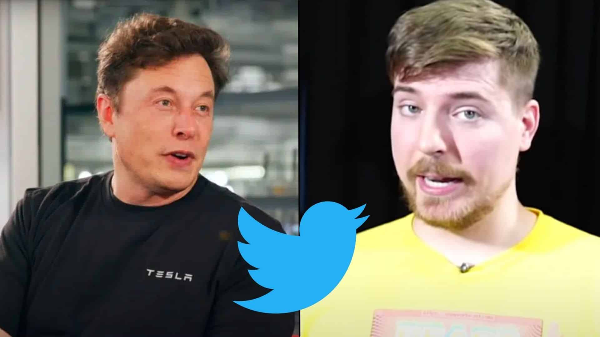 Elon Musk and MrBeast side-by-side with Twitter logo