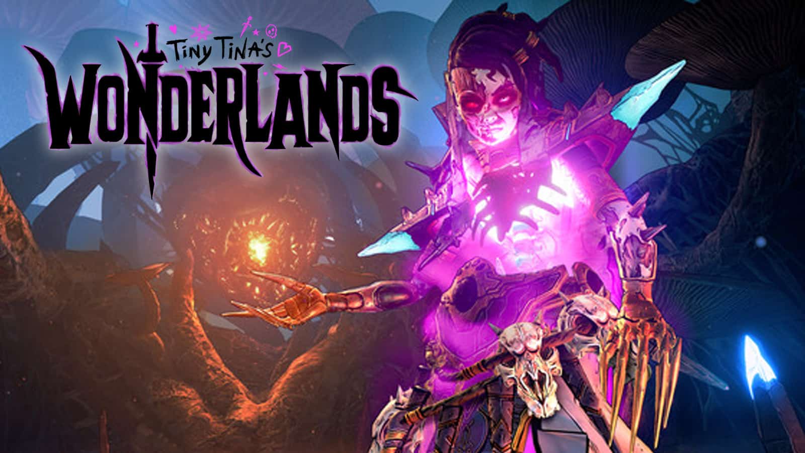 Tiny Tina's Wonderlands 1.0.3.0a update patch ntoes
