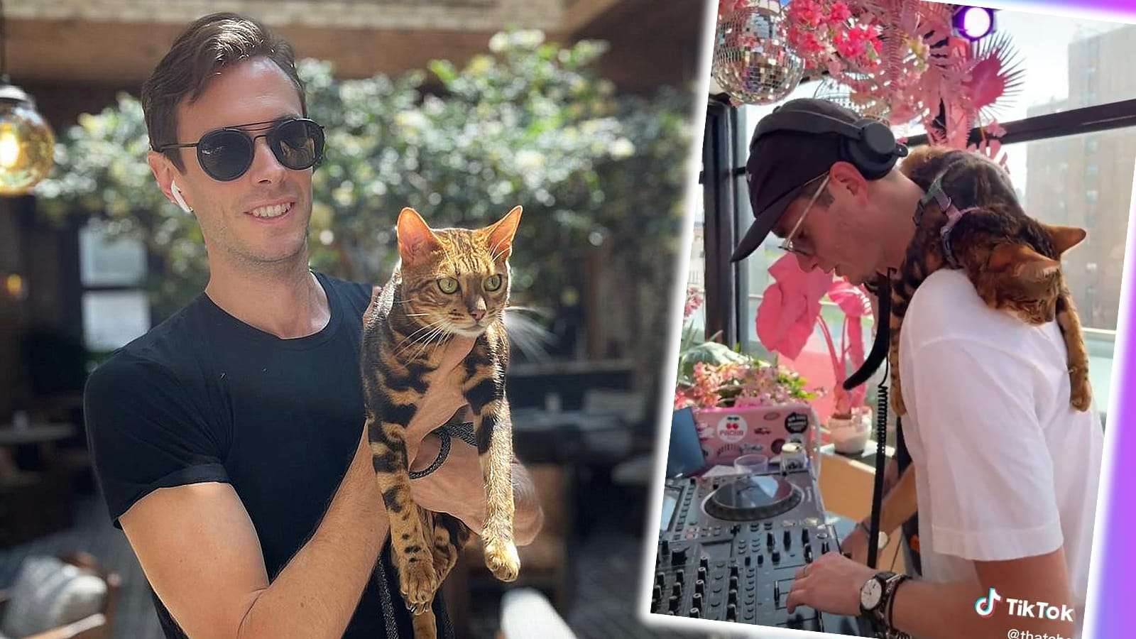 TikToker goes viral for playing DJ set with cat