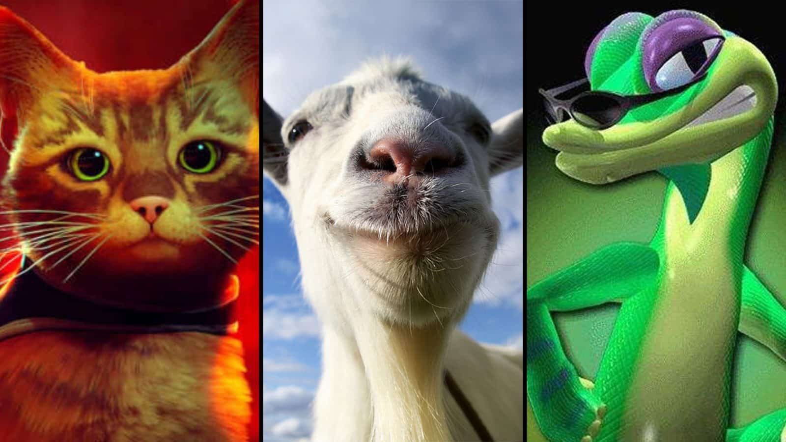 stray, goat, and gex