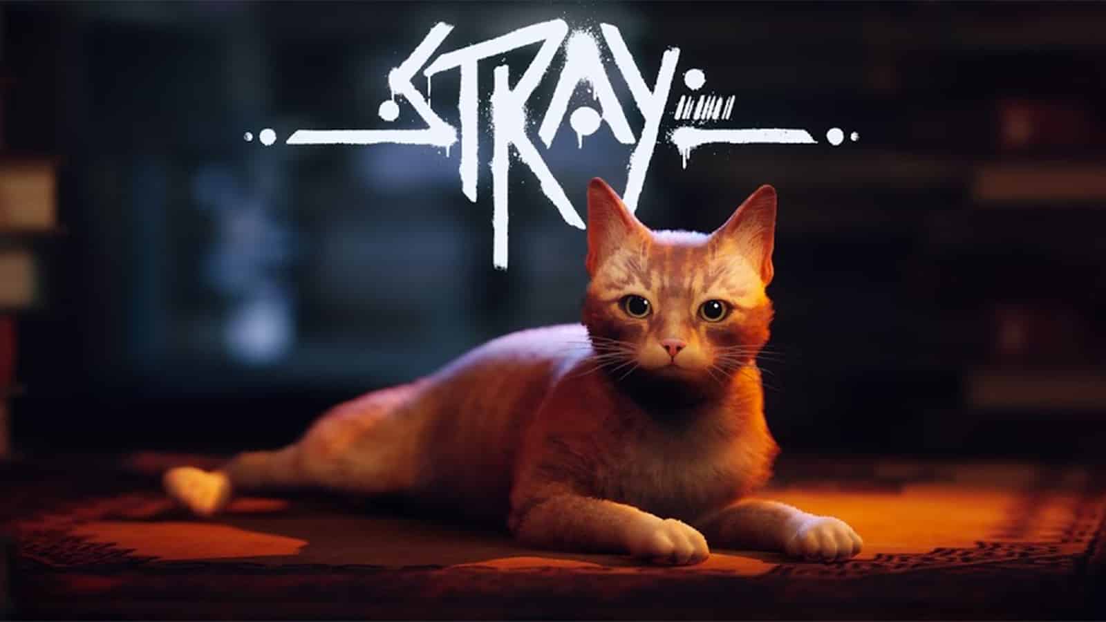 a poster for Stray that could be coming to Xbox in the future
