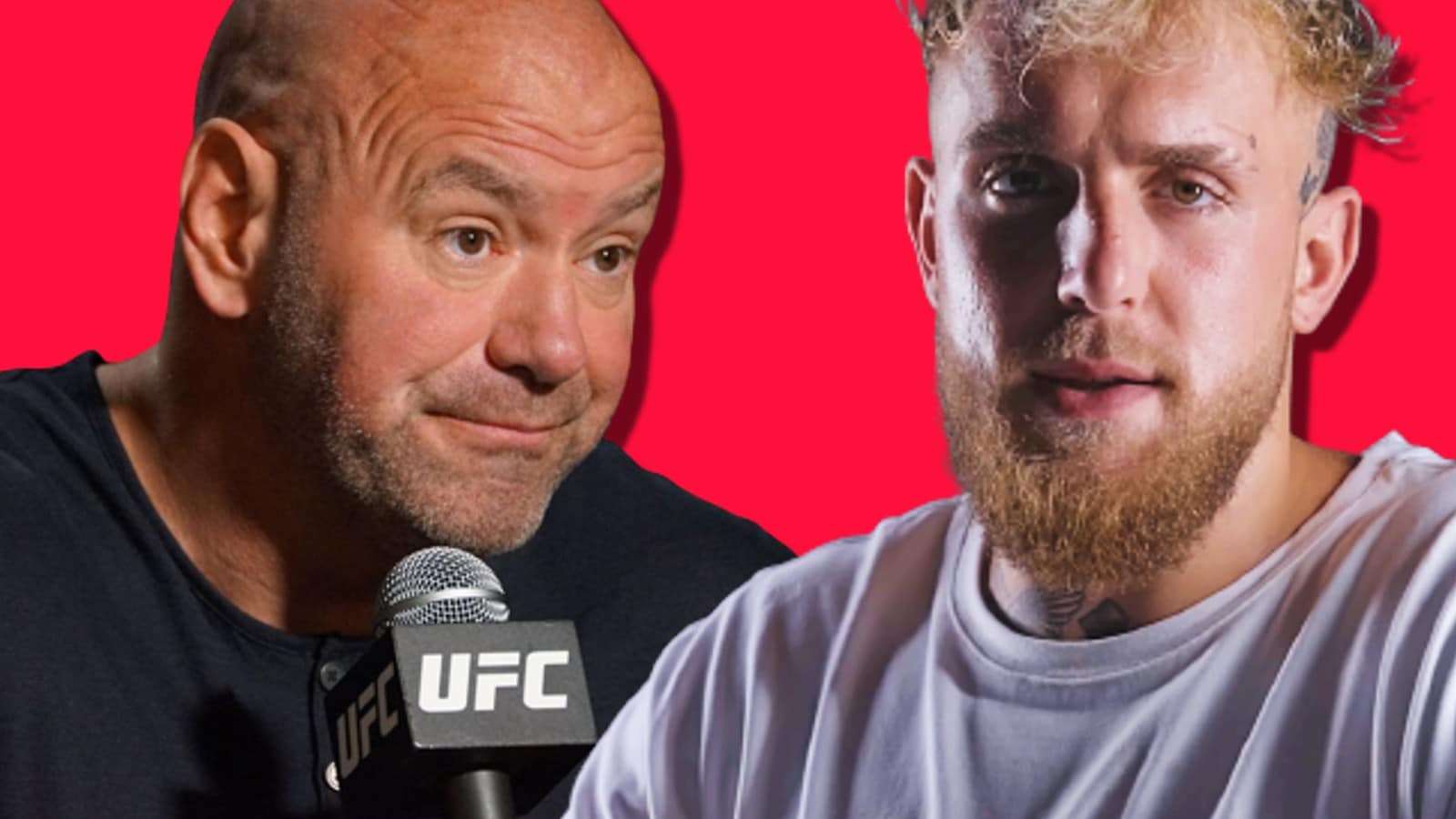 Jake Paul and Dana White are in yet another spat.
