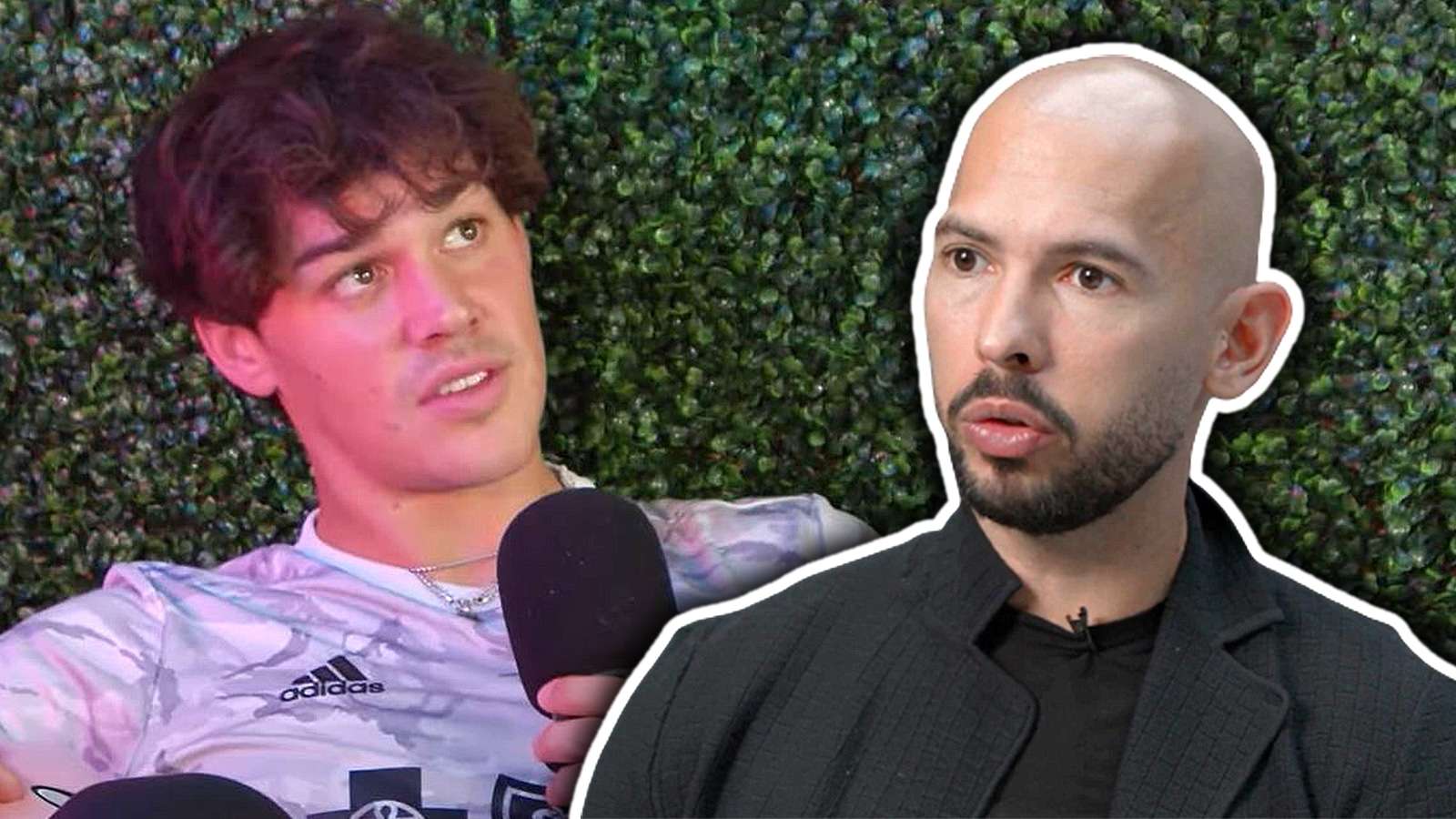 Noah beck under fire for andrew tate comments