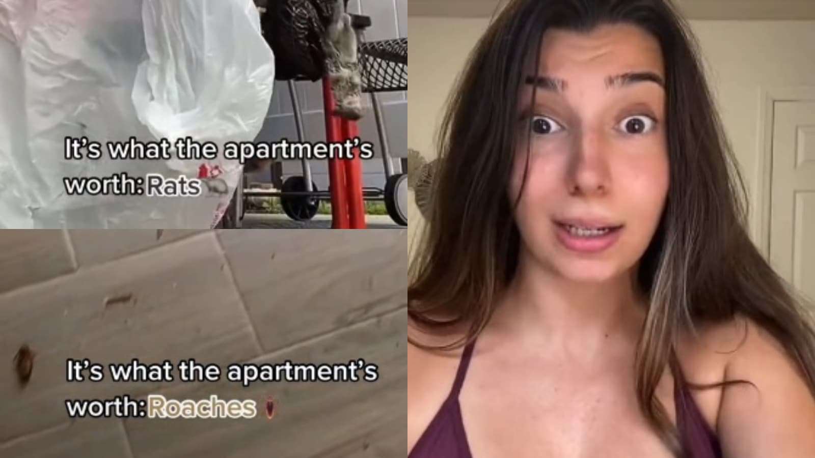 tiktoker reveals nasty nyc apartment rent hike
