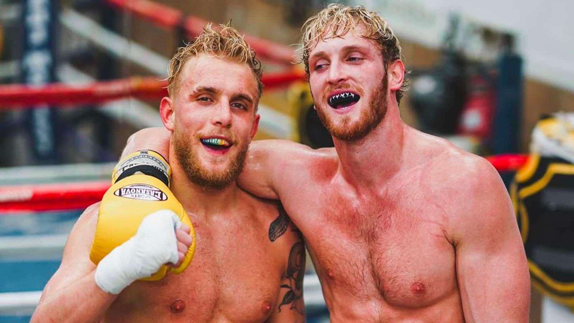 Jake and Logan Paul inside boxing ring posing together