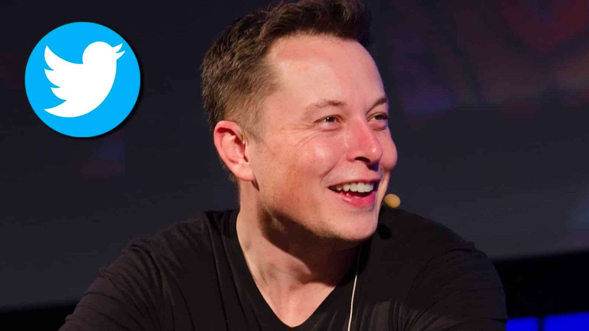 Elon Musk sat next to Twitter logo