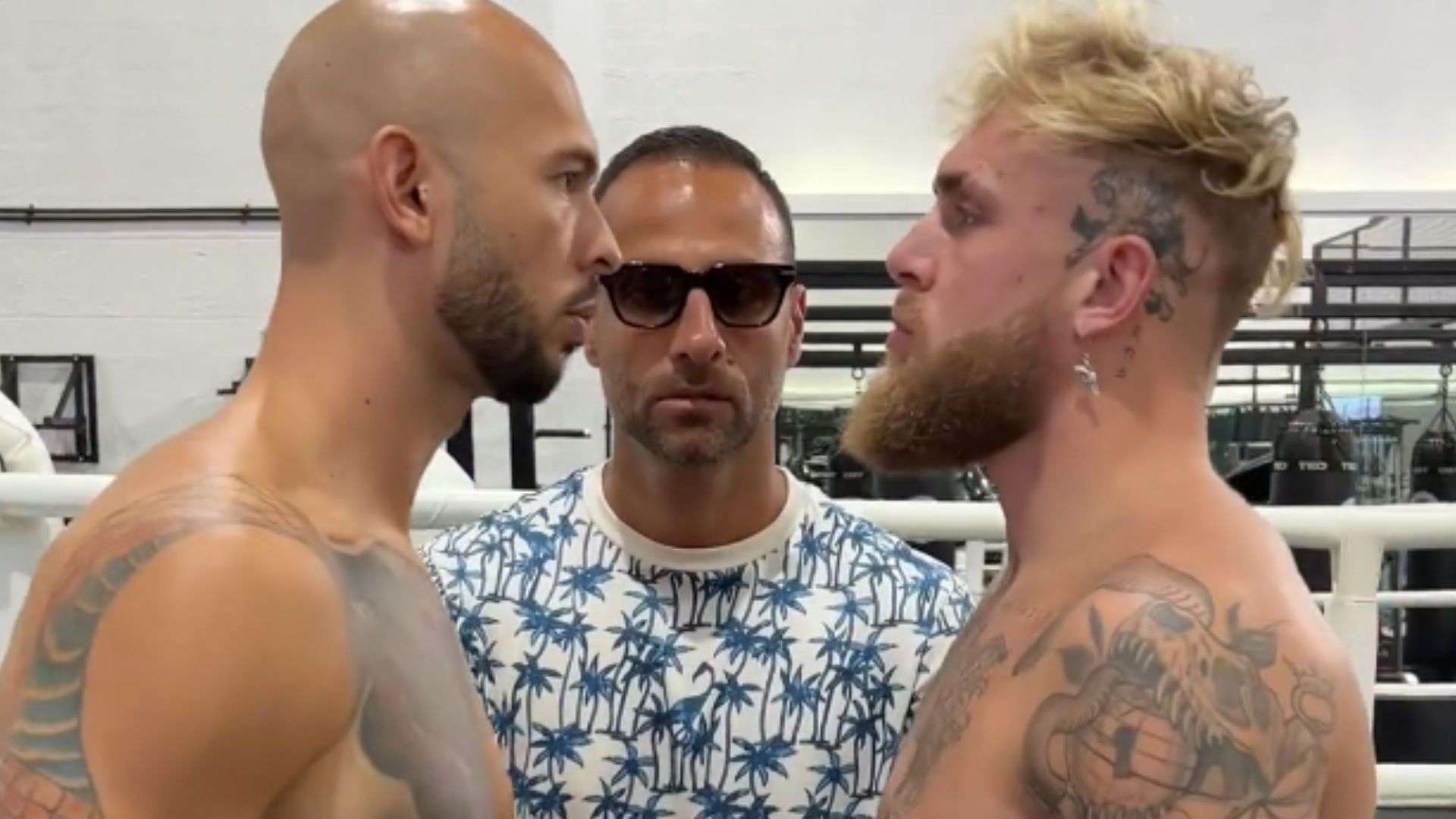 Jake Paul and Andrew Tate face-to-face inside boxing gym